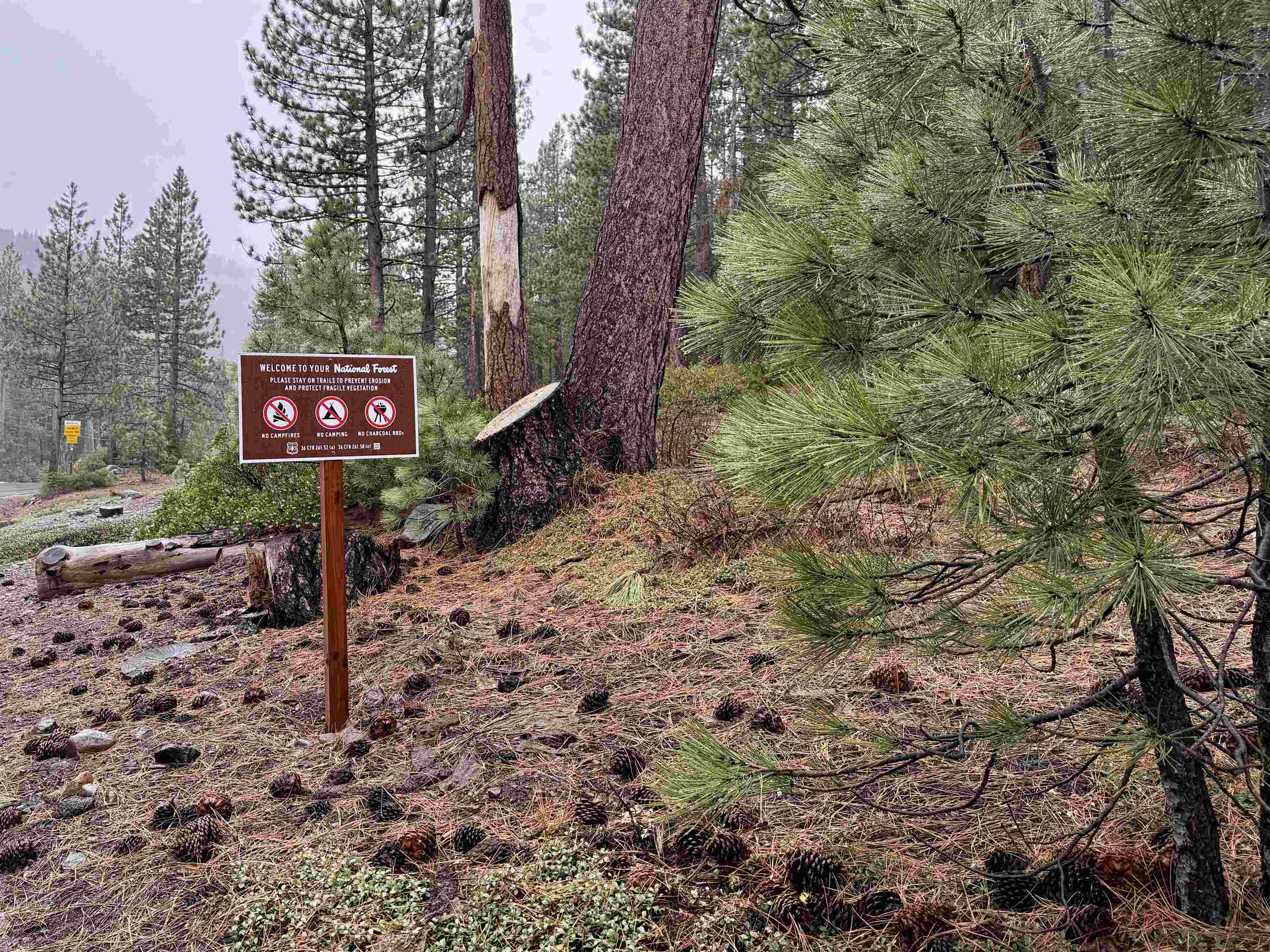 970 Ward Creek Blvd, Tahoe City, CA, 96145-0000