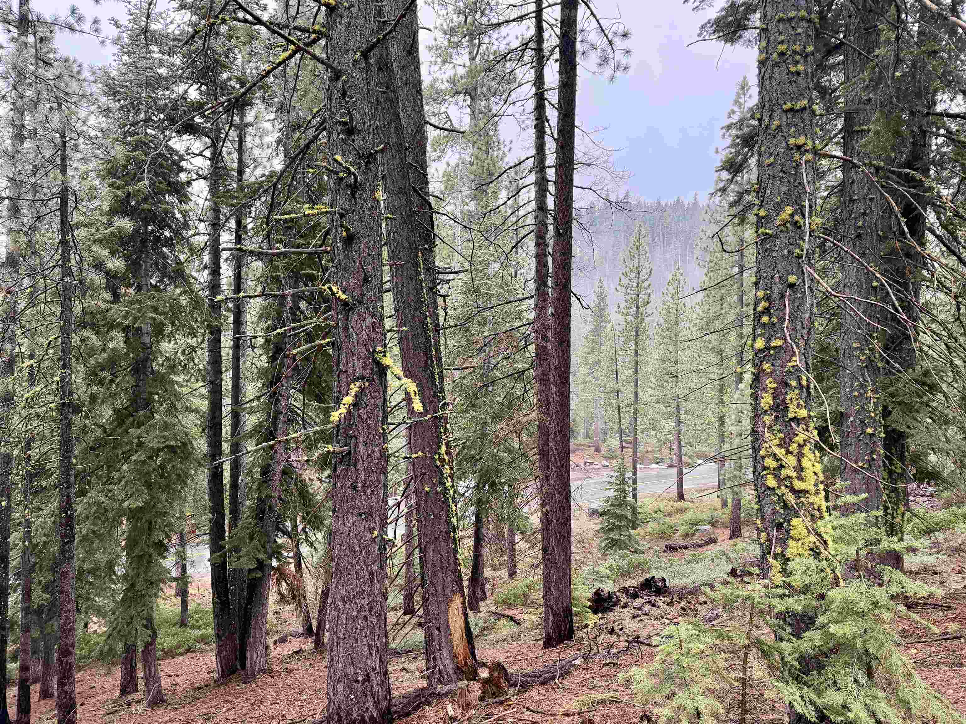 970 Ward Creek Blvd, Tahoe City, CA, 96145-0000