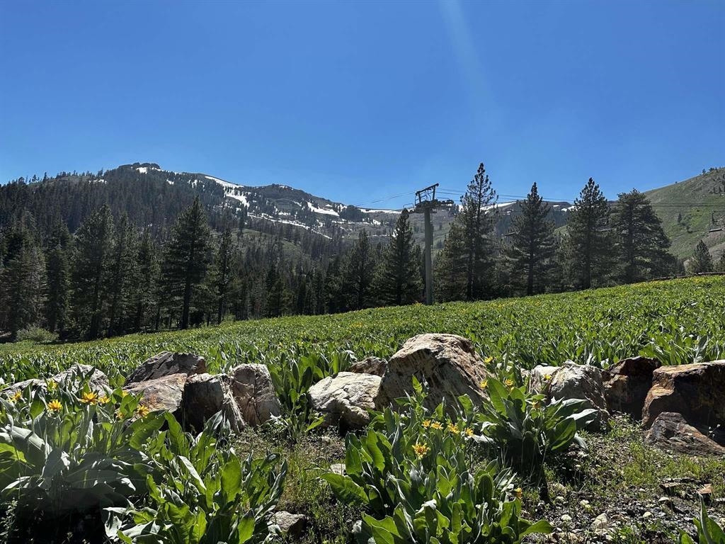 970 Ward Creek Blvd, Tahoe City, CA, 96145-0000