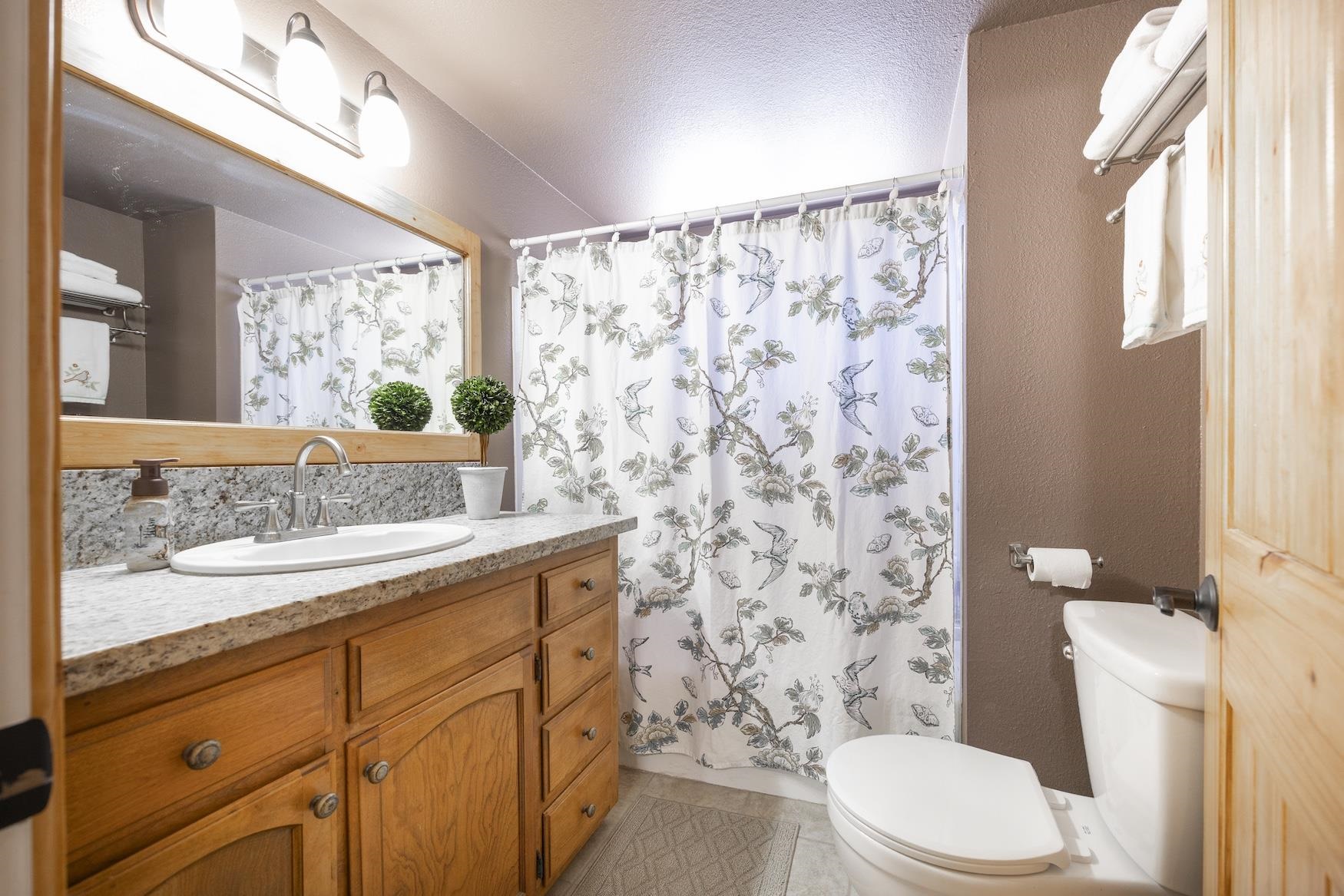 21146 Donner Pass Road, Soda Springs, CA, 95728