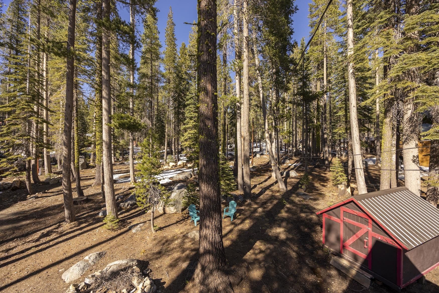 21146 Donner Pass Road, Soda Springs, CA, 95728