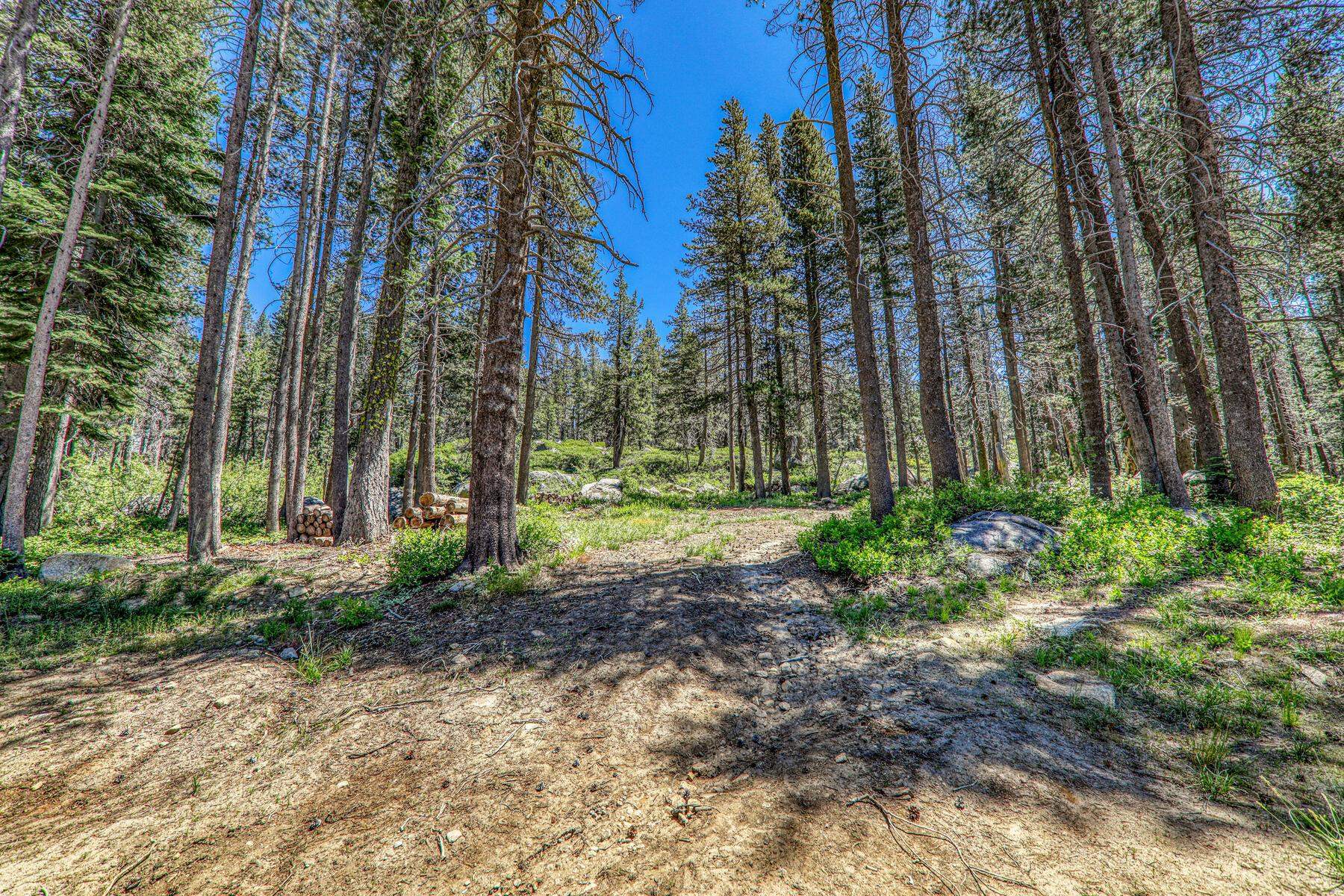 10019 Bunny Hill Road, Soda Springs, CA, 95728