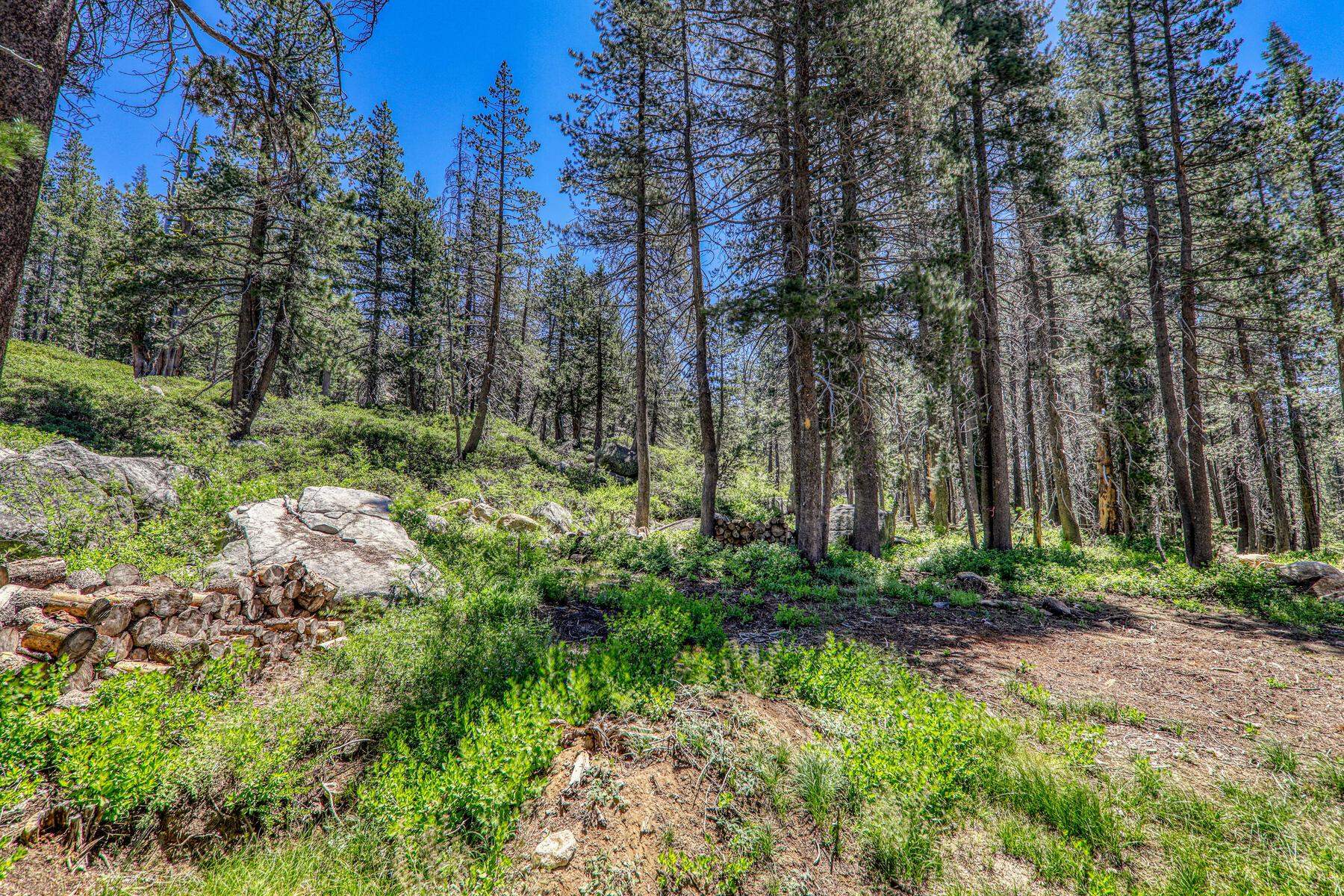 10019 Bunny Hill Road, Soda Springs, CA, 95728