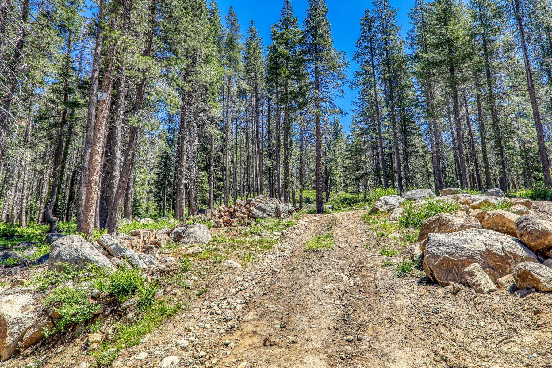 10019 Bunny Hill Road, Soda Springs, CA, 95728