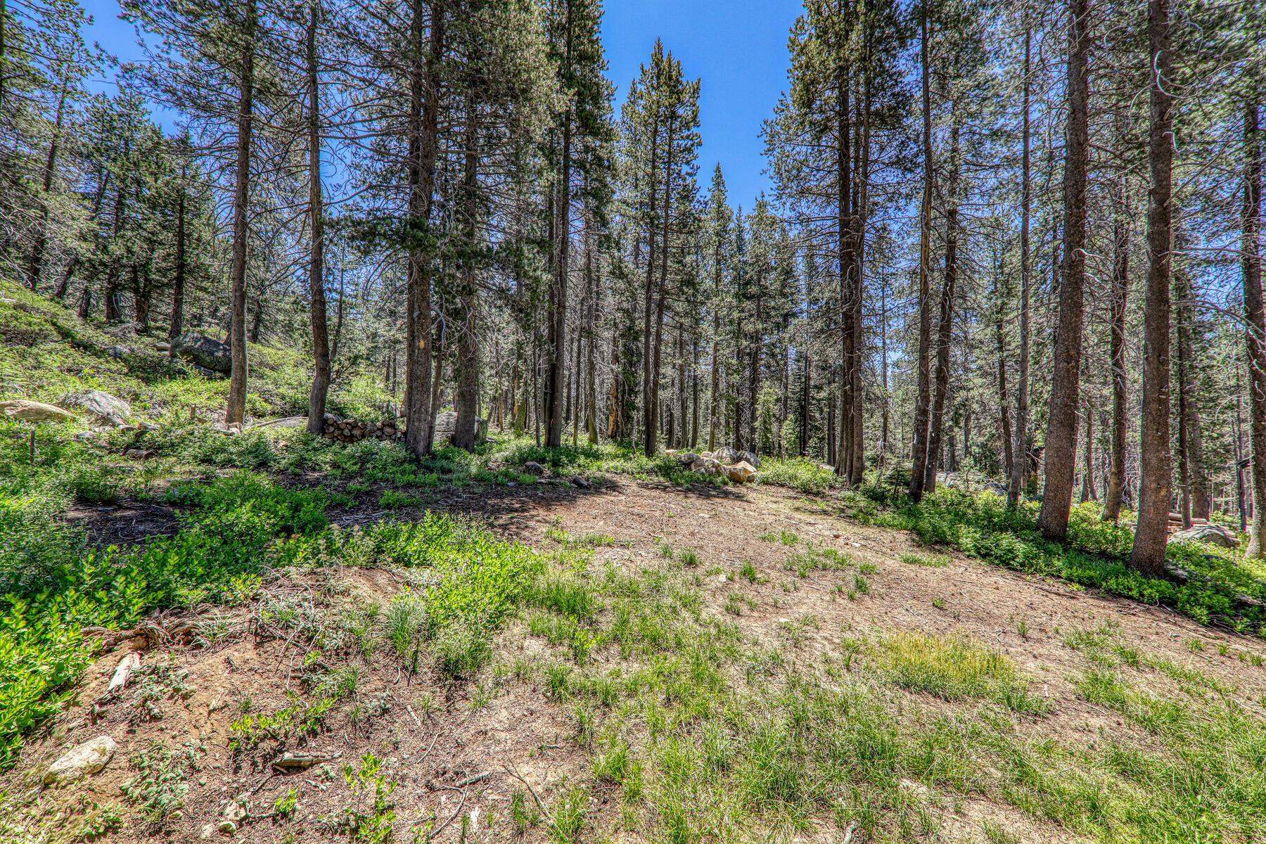 10019 Bunny Hill Road, Soda Springs, CA, 95728