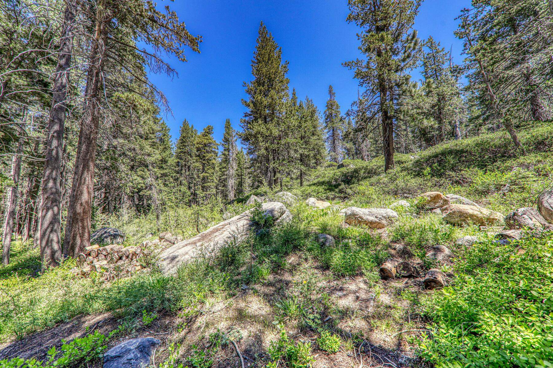 10019 Bunny Hill Road, Soda Springs, CA, 95728
