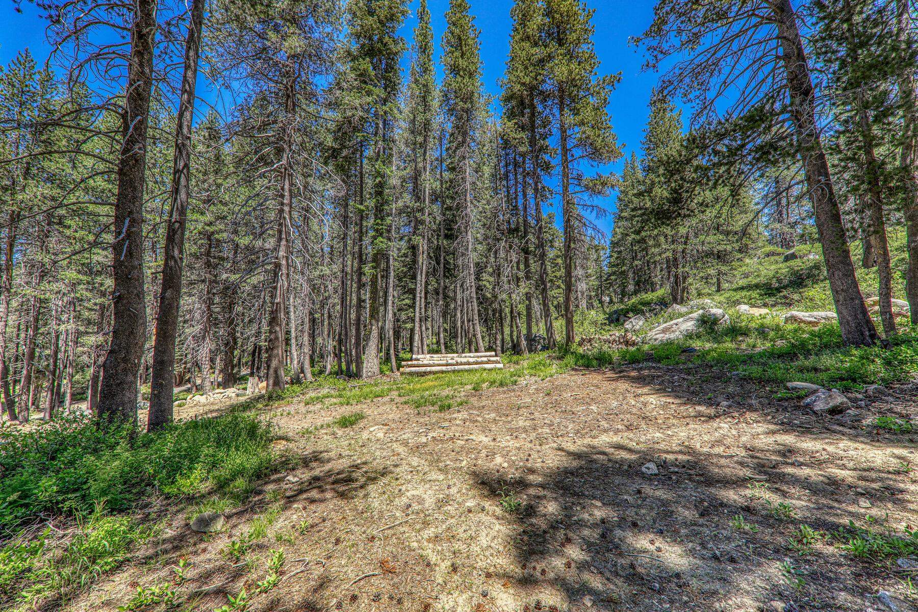 10019 Bunny Hill Road, Soda Springs, CA, 95728