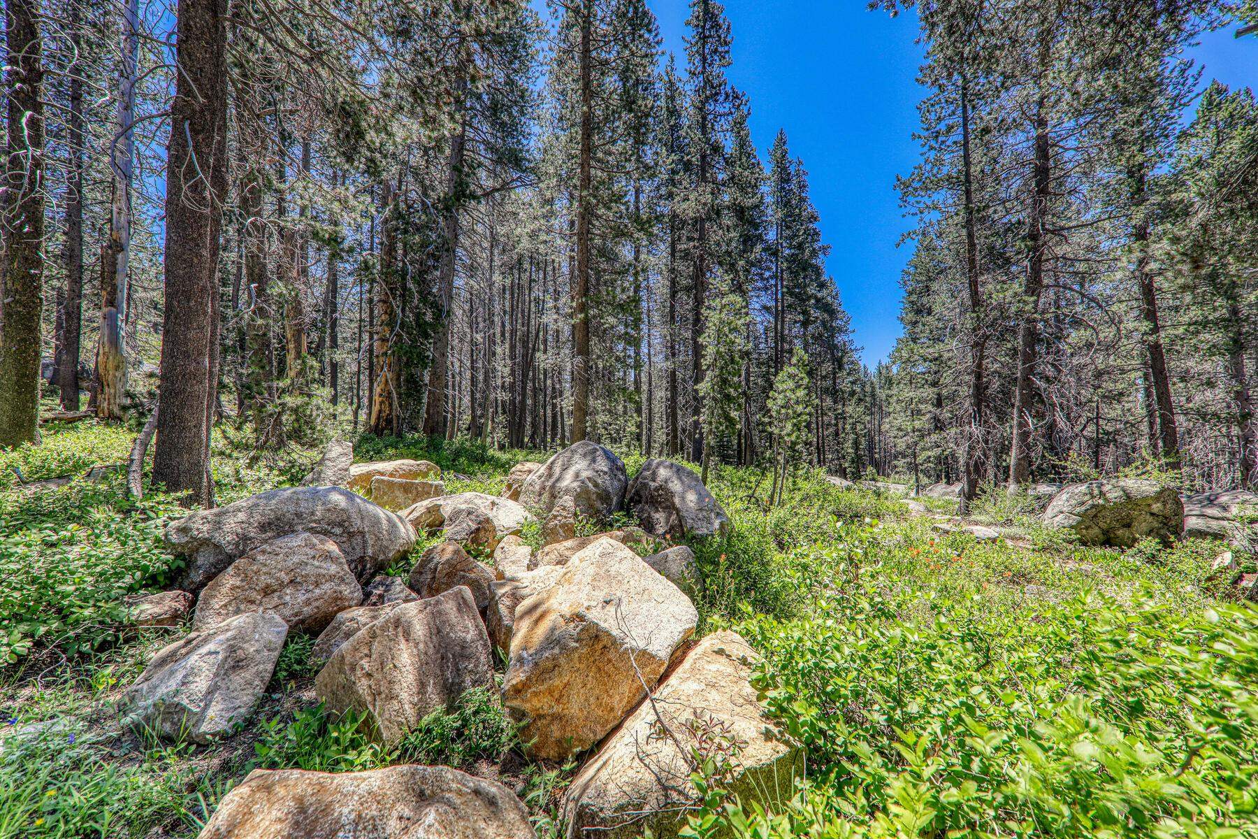 10019 Bunny Hill Road, Soda Springs, CA, 95728
