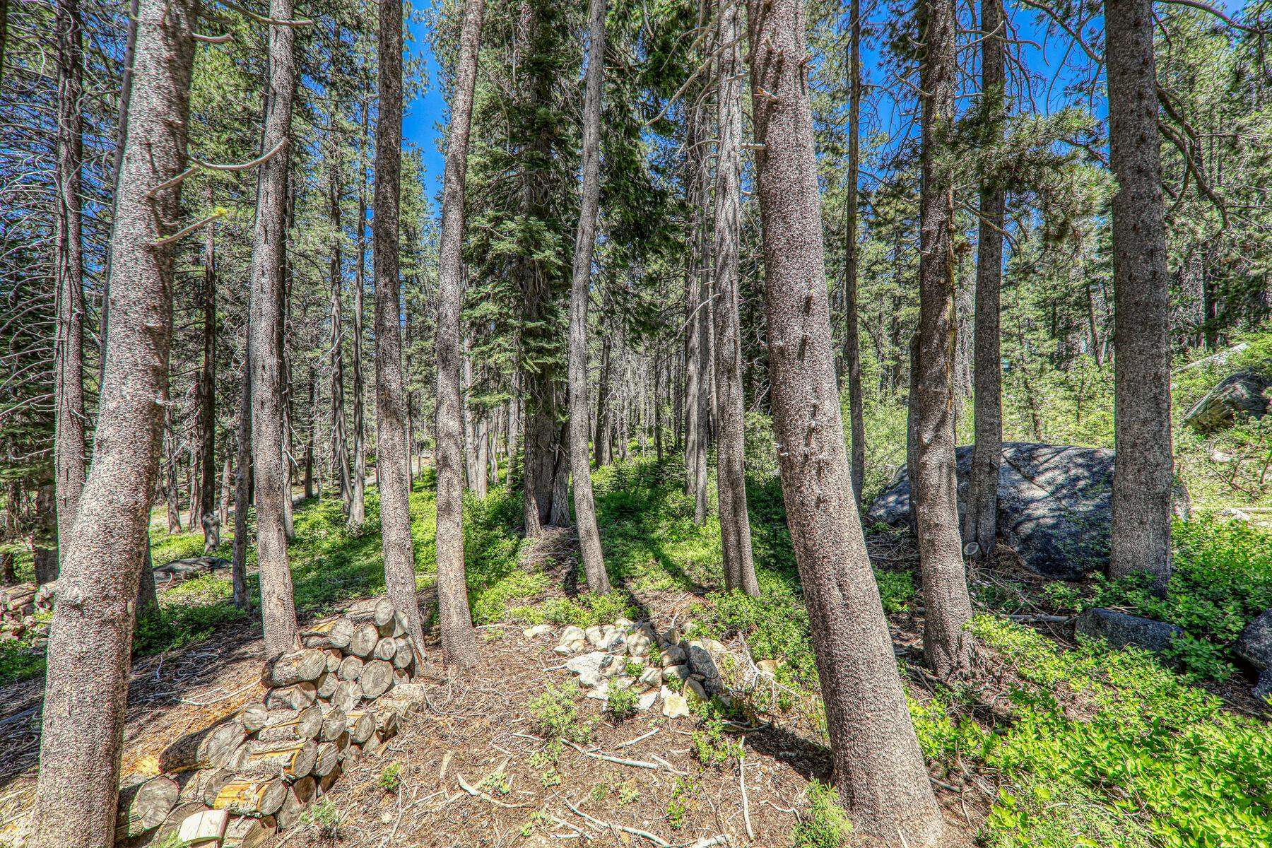 10019 Bunny Hill Road, Soda Springs, CA, 95728