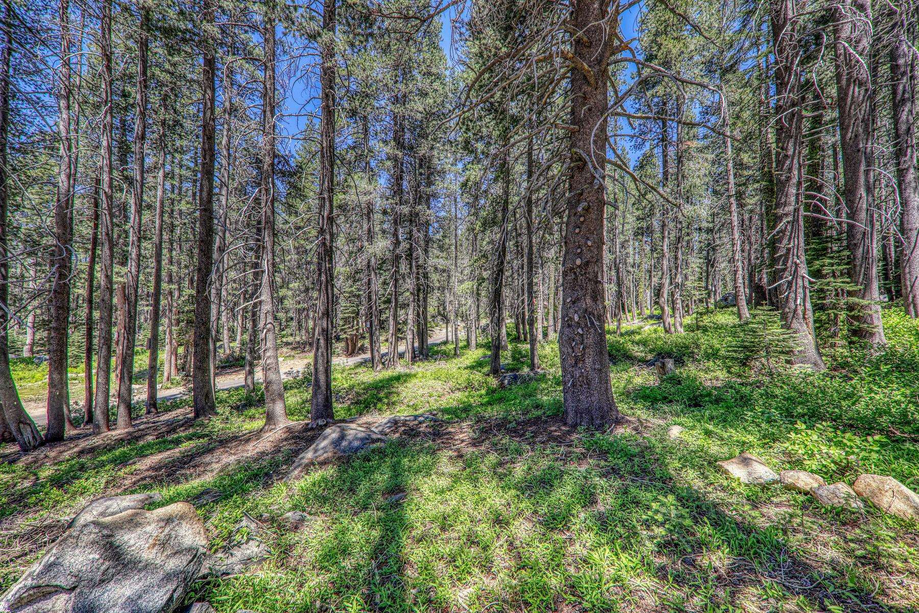 10019 Bunny Hill Road, Soda Springs, CA, 95728