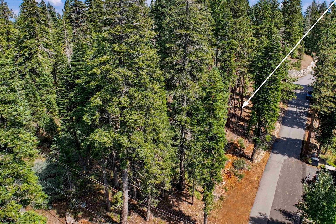 880 Sunny Drive, Homewood, CA, 96141