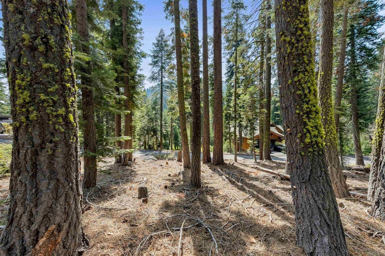 880 Sunny Drive, Homewood, CA, 96141