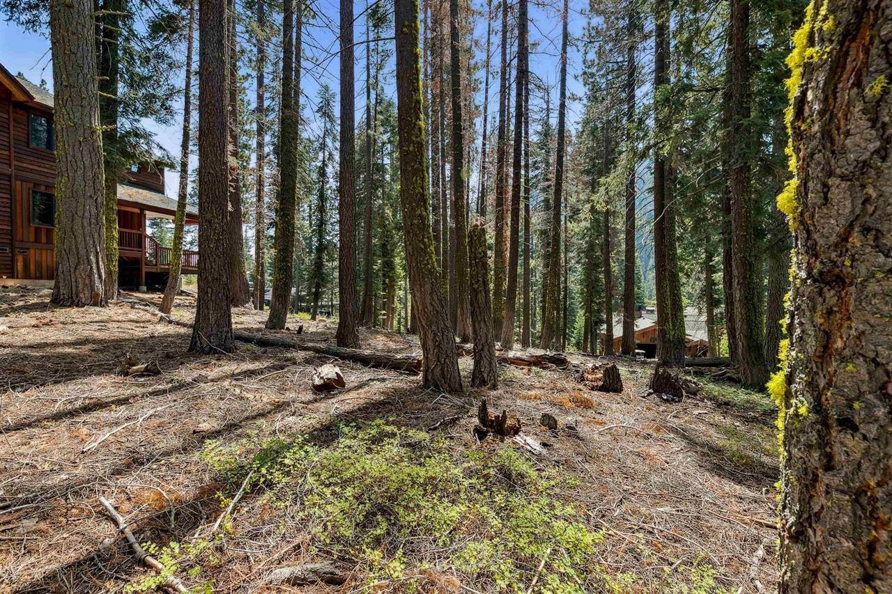 880 Sunny Drive, Homewood, CA, 96141