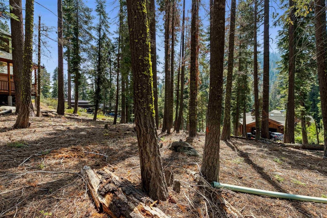 880 Sunny Drive, Homewood, CA, 96141