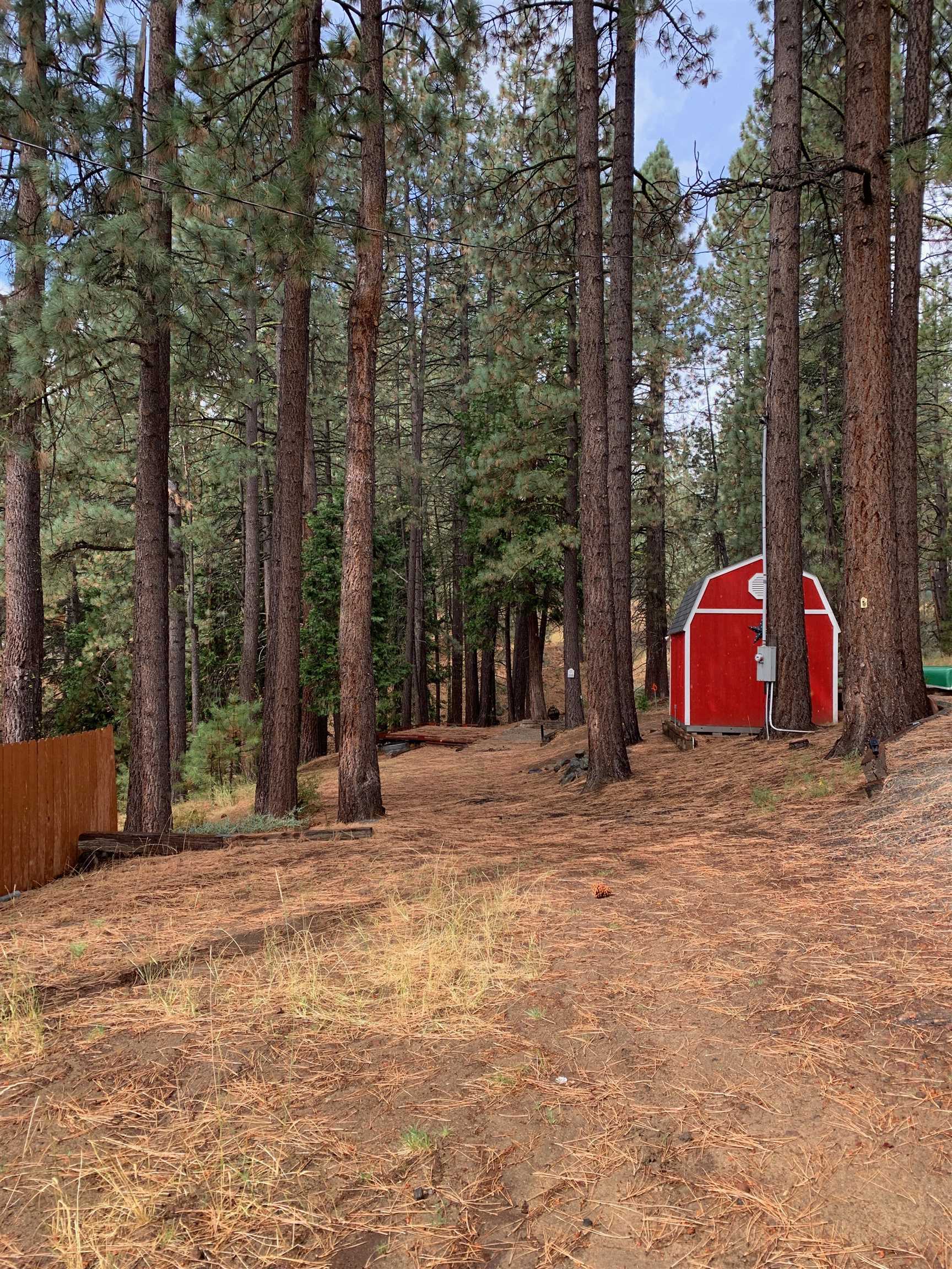 1063 Buckskin Lane, Portola, CA, 96122-0000