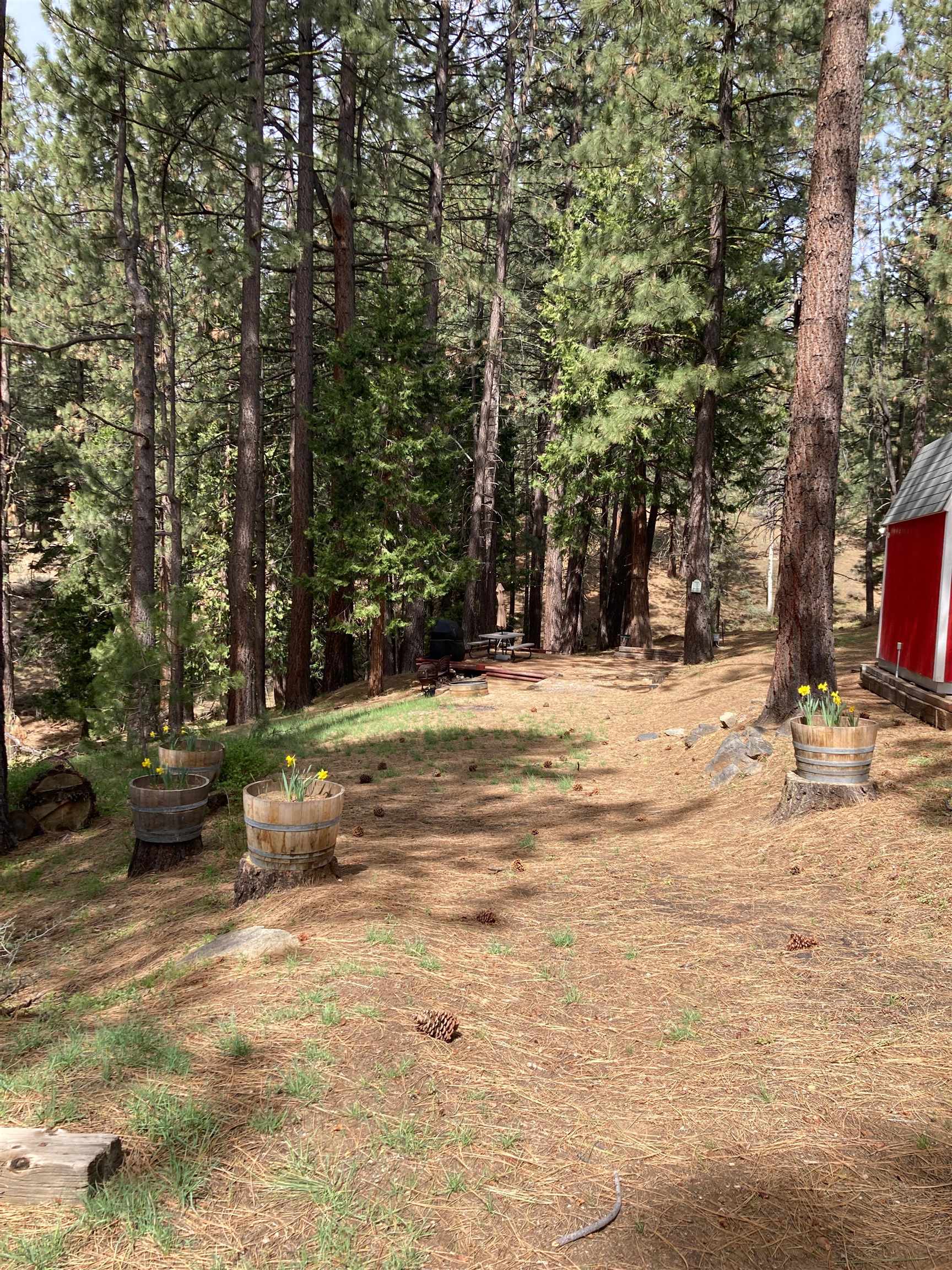 1063 Buckskin Lane, Portola, CA, 96122-0000