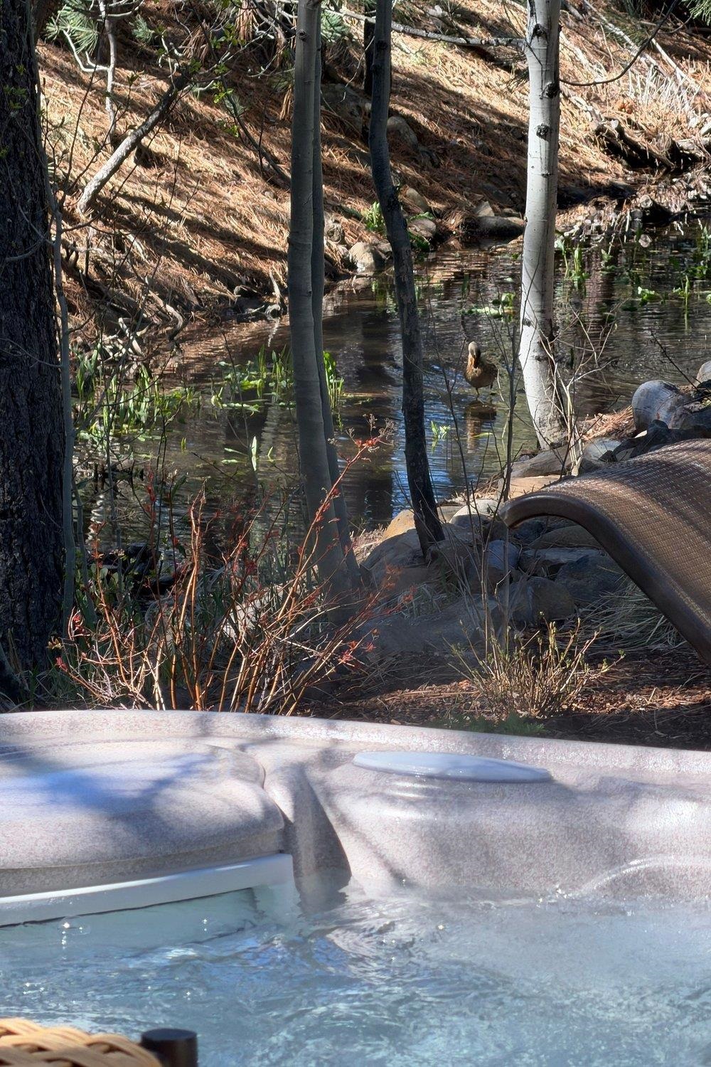 10303 White Fir Road, Truckee, CA, 96161