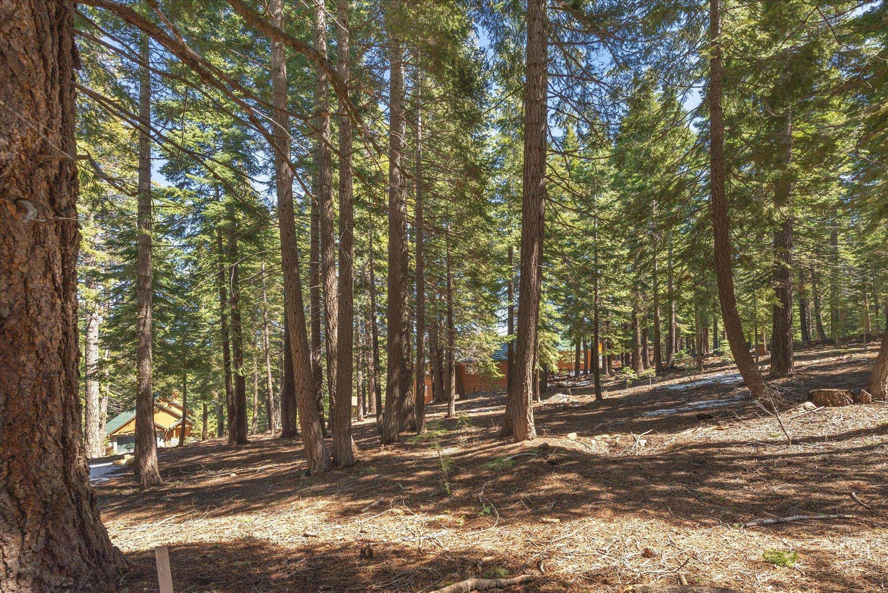 14059 Pathway Avenue, Truckee, CA, 96161