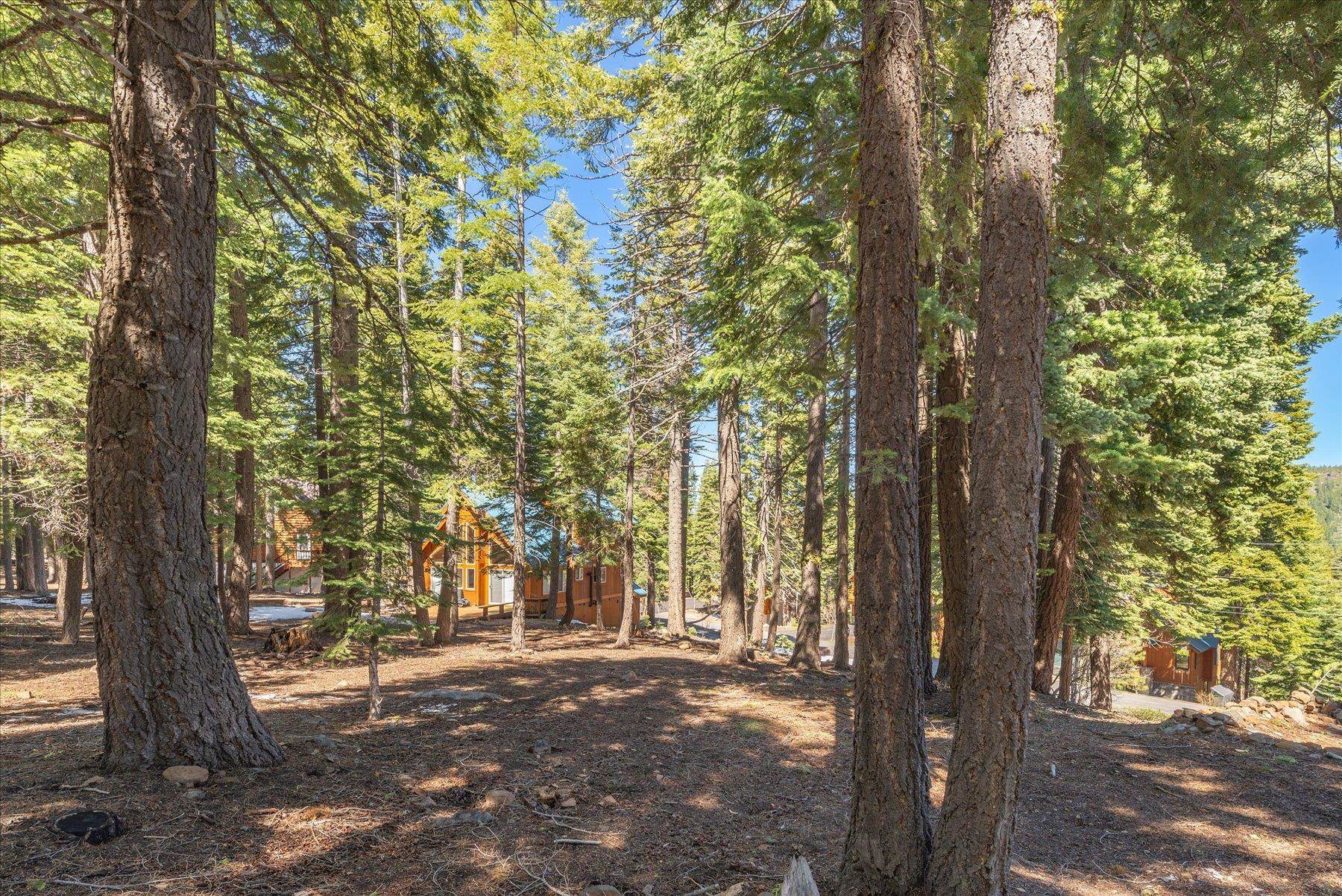 14059 Pathway Avenue, Truckee, CA, 96161