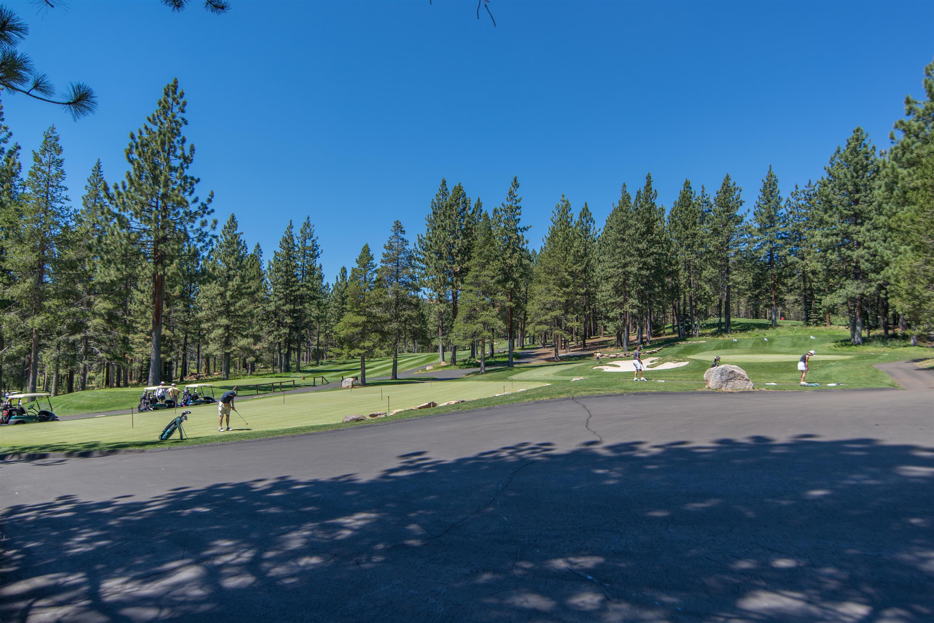 14059 Pathway Avenue, Truckee, CA, 96161