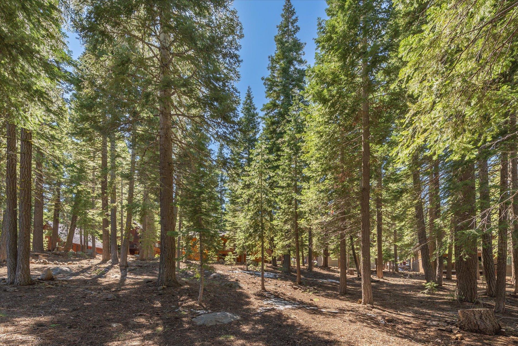 14059 Pathway Avenue, Truckee, CA, 96161