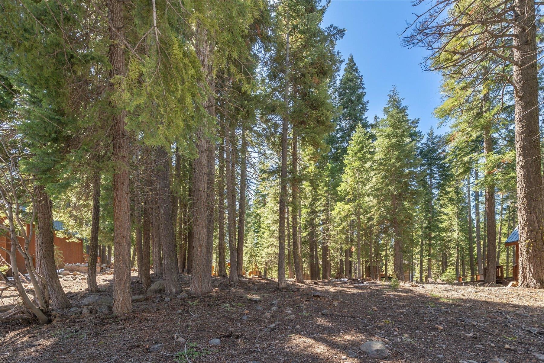 14059 Pathway Avenue, Truckee, CA, 96161