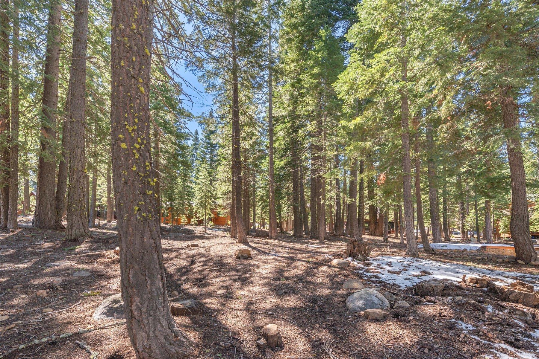 14059 Pathway Avenue, Truckee, CA, 96161