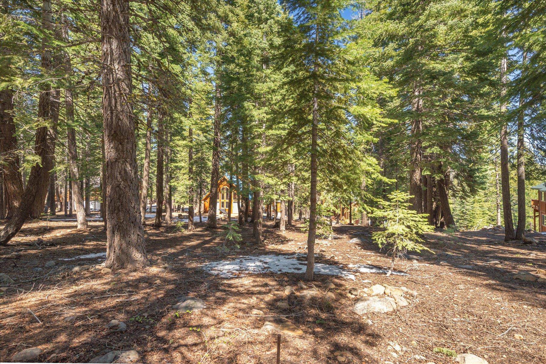 14059 Pathway Avenue, Truckee, CA, 96161