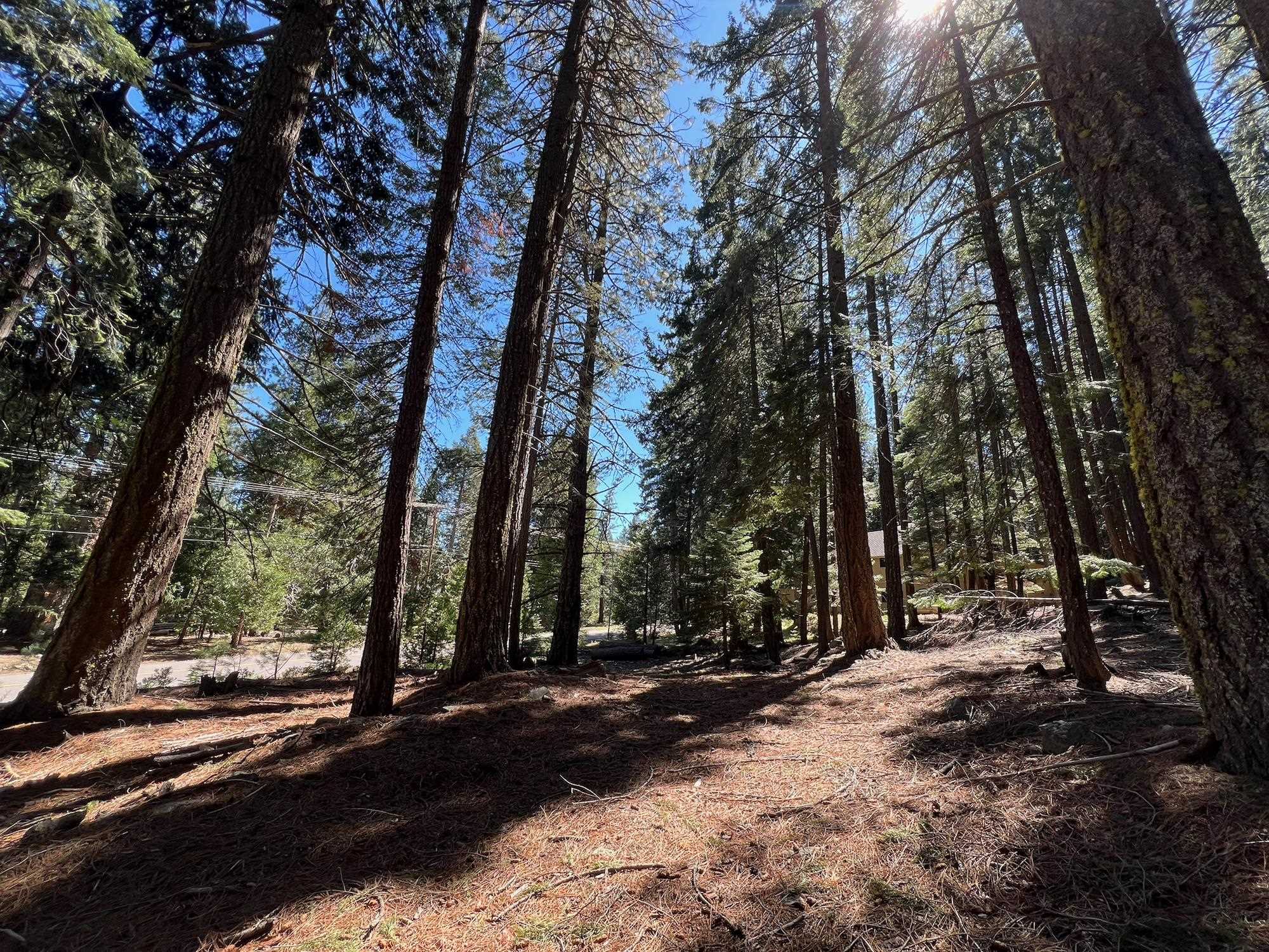 84 Yonkalla Trail, Graeagle, CA, 96103