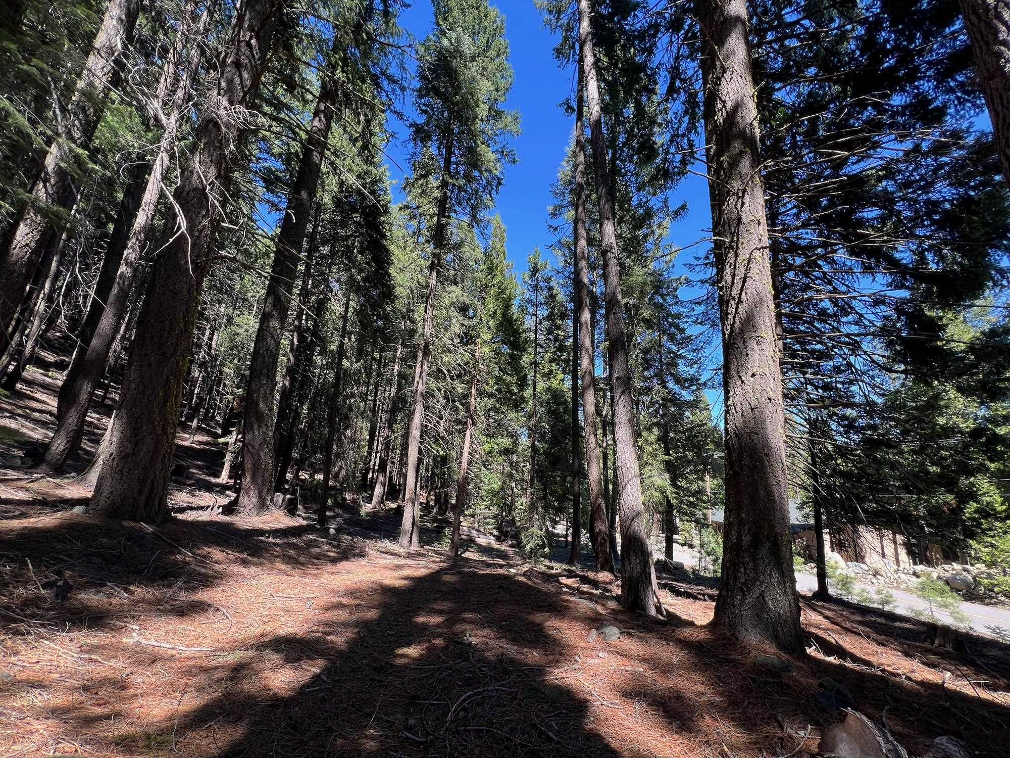 84 Yonkalla Trail, Graeagle, CA, 96103