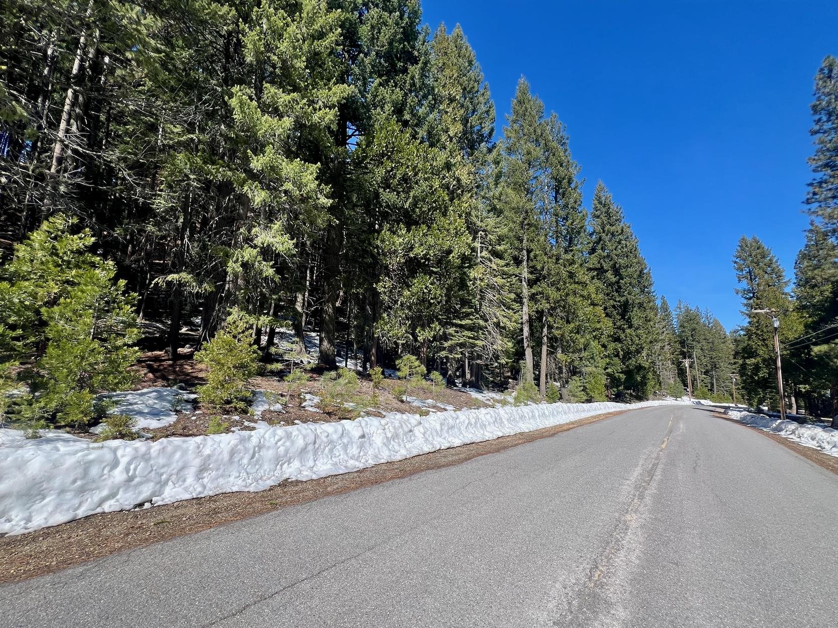 84 Yonkalla Trail, Graeagle, CA, 96103