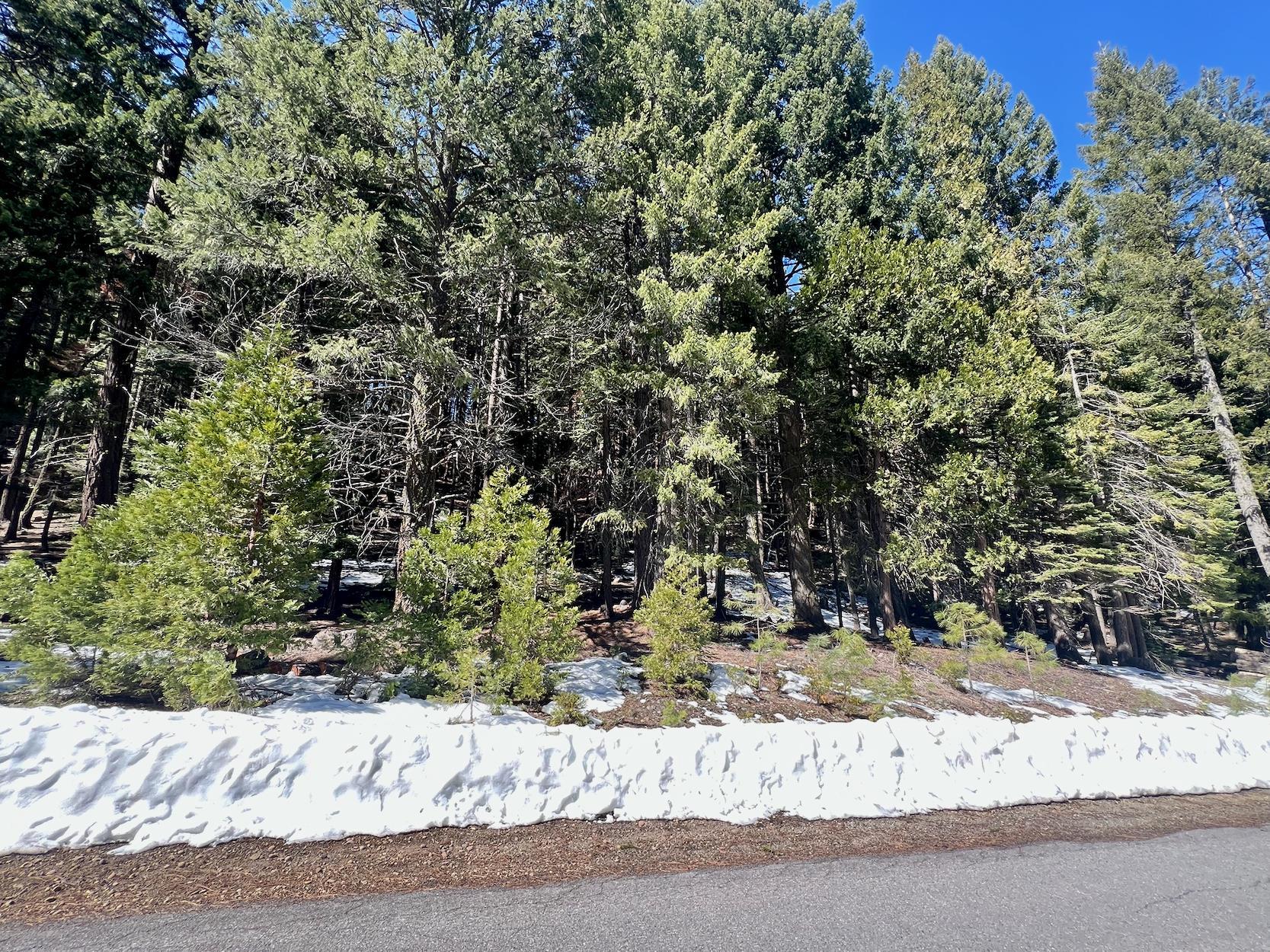 84 Yonkalla Trail, Graeagle, CA, 96103