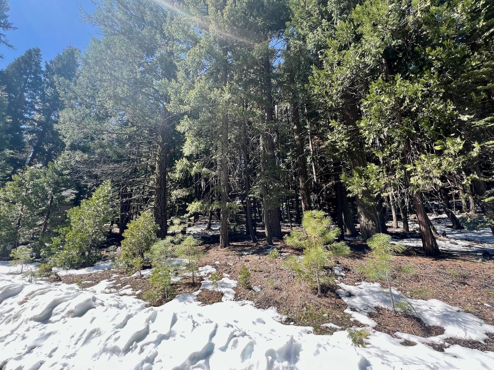 84 Yonkalla Trail, Graeagle, CA, 96103