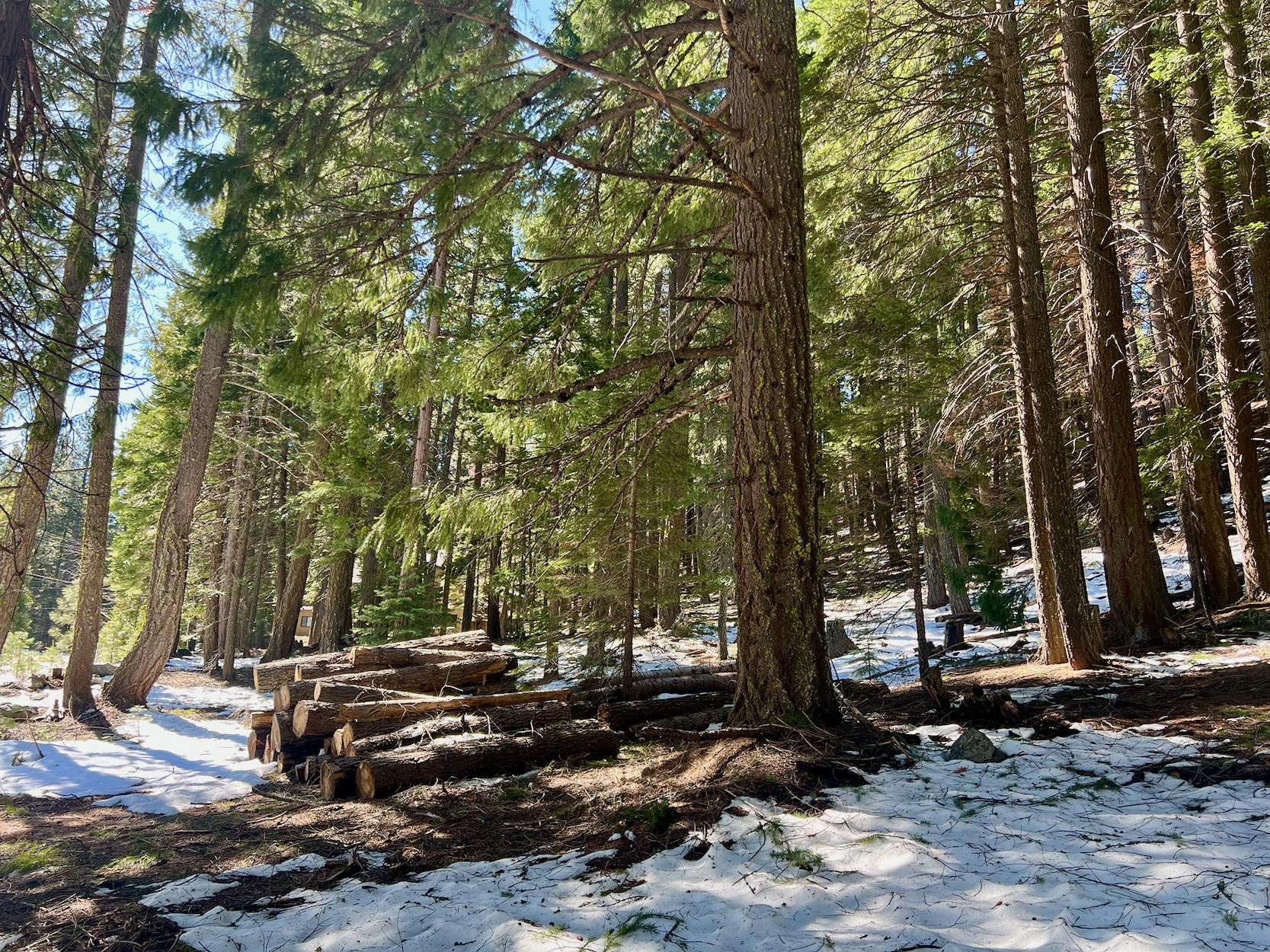 84 Yonkalla Trail, Graeagle, CA, 96103