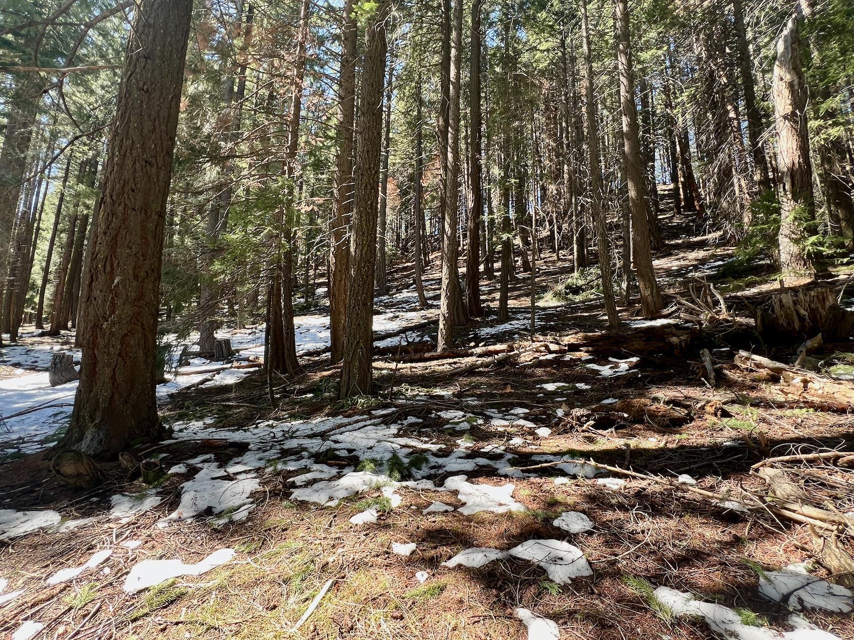 84 Yonkalla Trail, Graeagle, CA, 96103