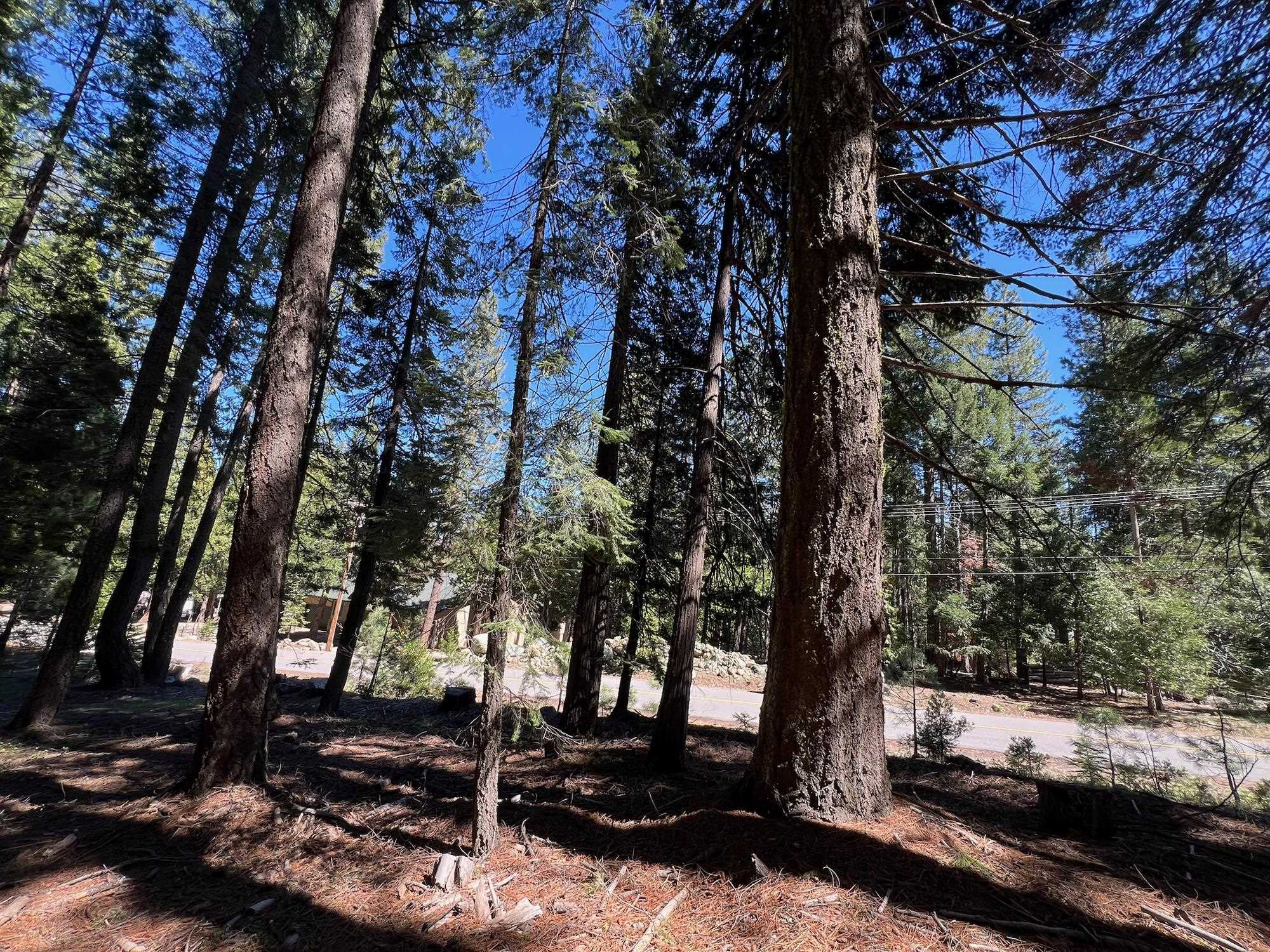 84 Yonkalla Trail, Graeagle, CA, 96103