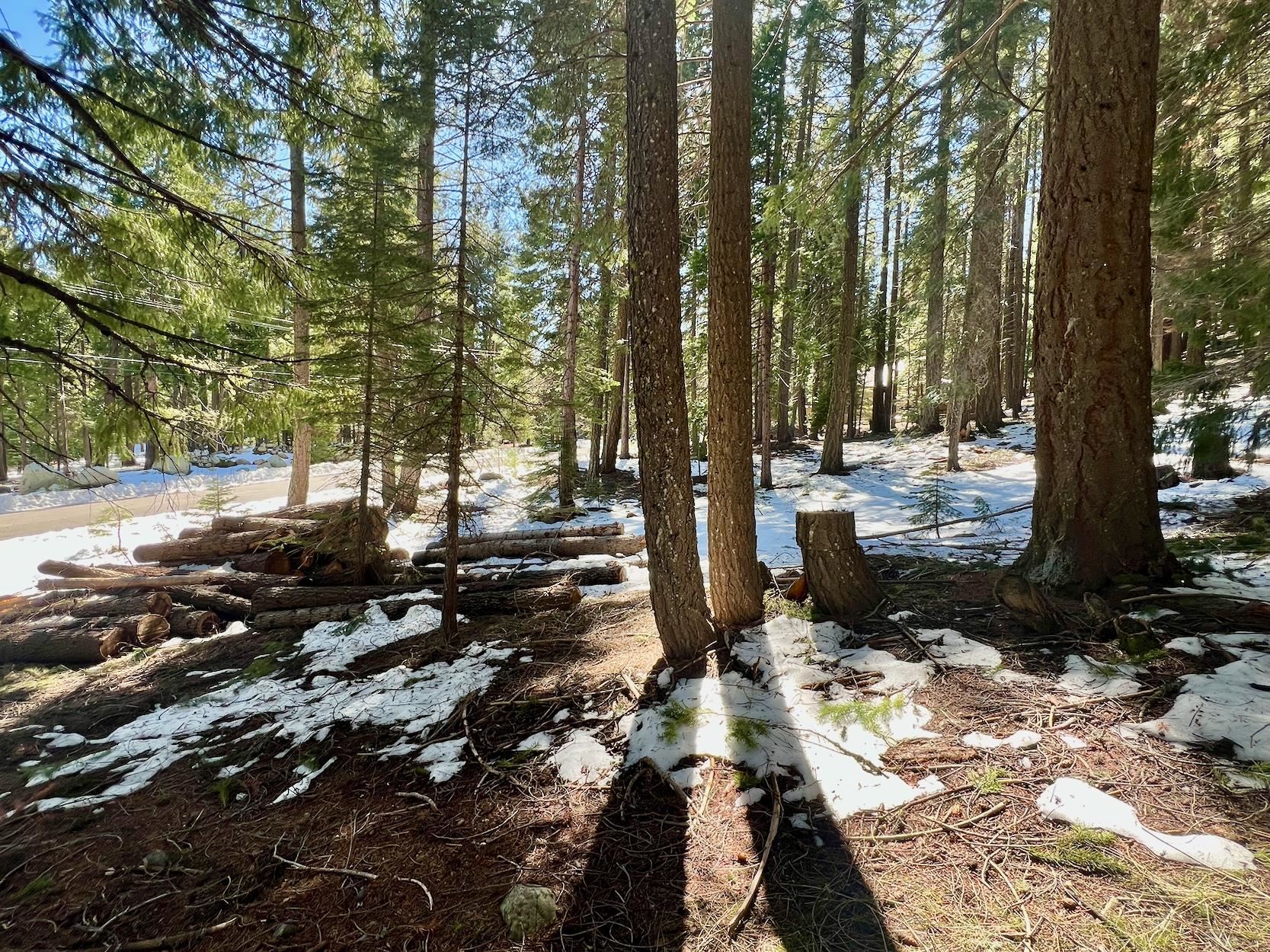 84 Yonkalla Trail, Graeagle, CA, 96103