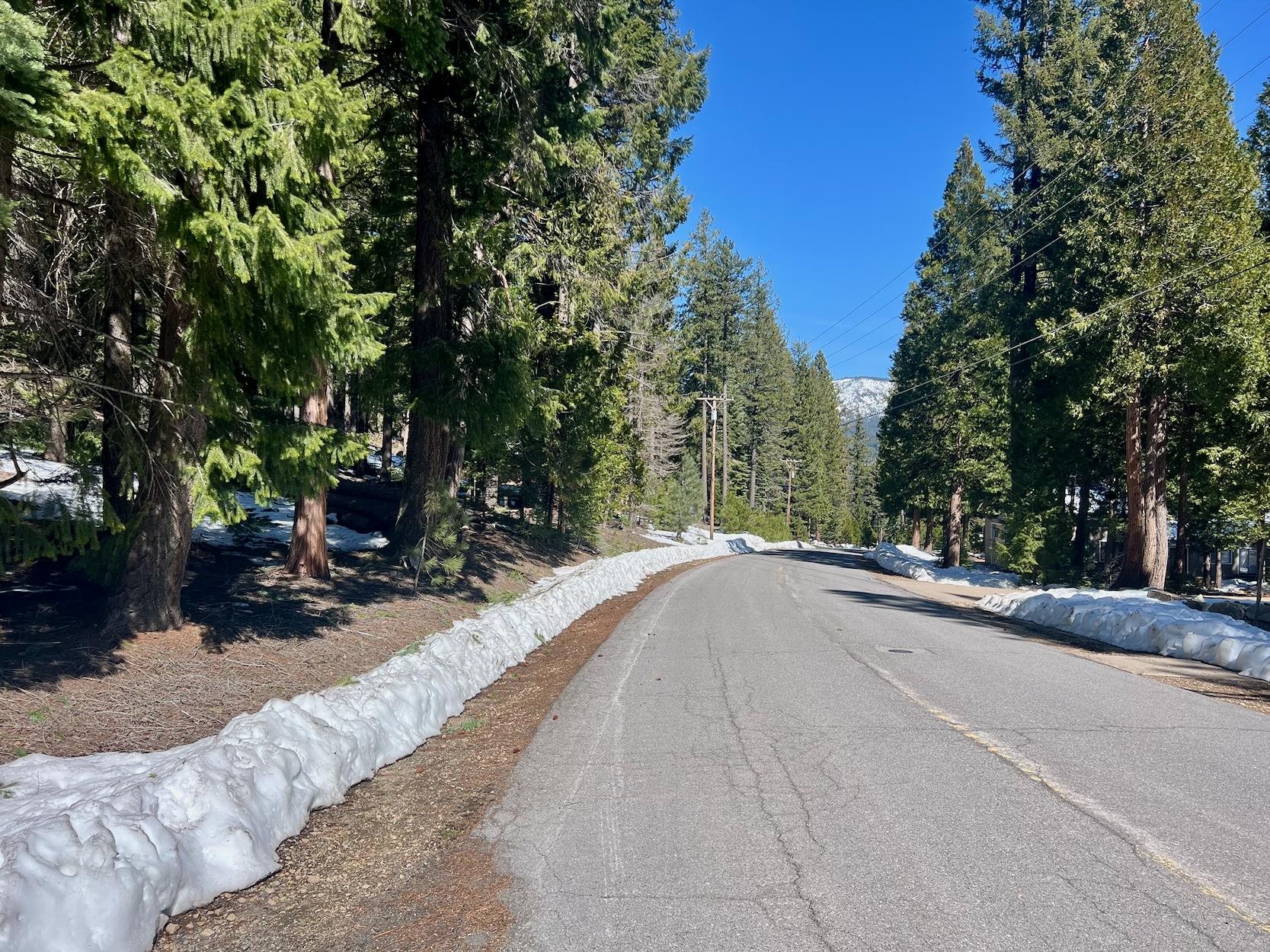 84 Yonkalla Trail, Graeagle, CA, 96103