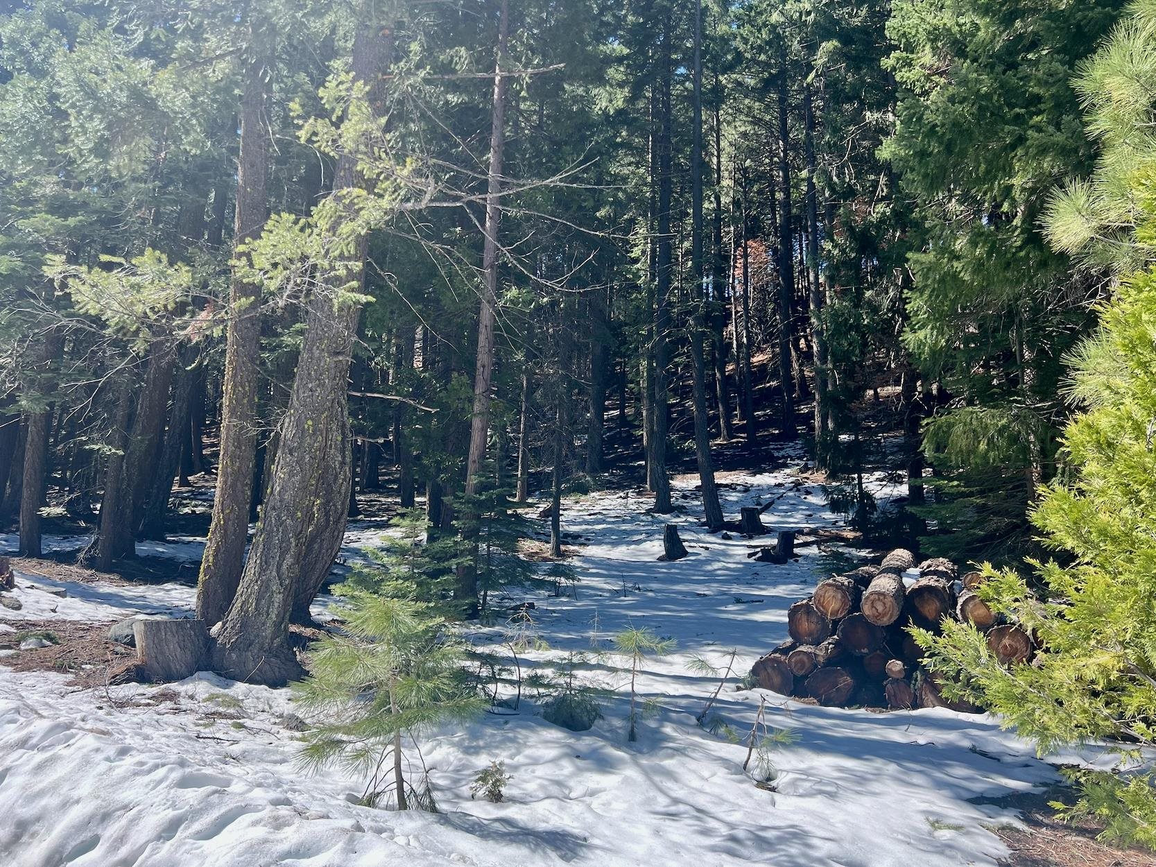 84 Yonkalla Trail, Graeagle, CA, 96103