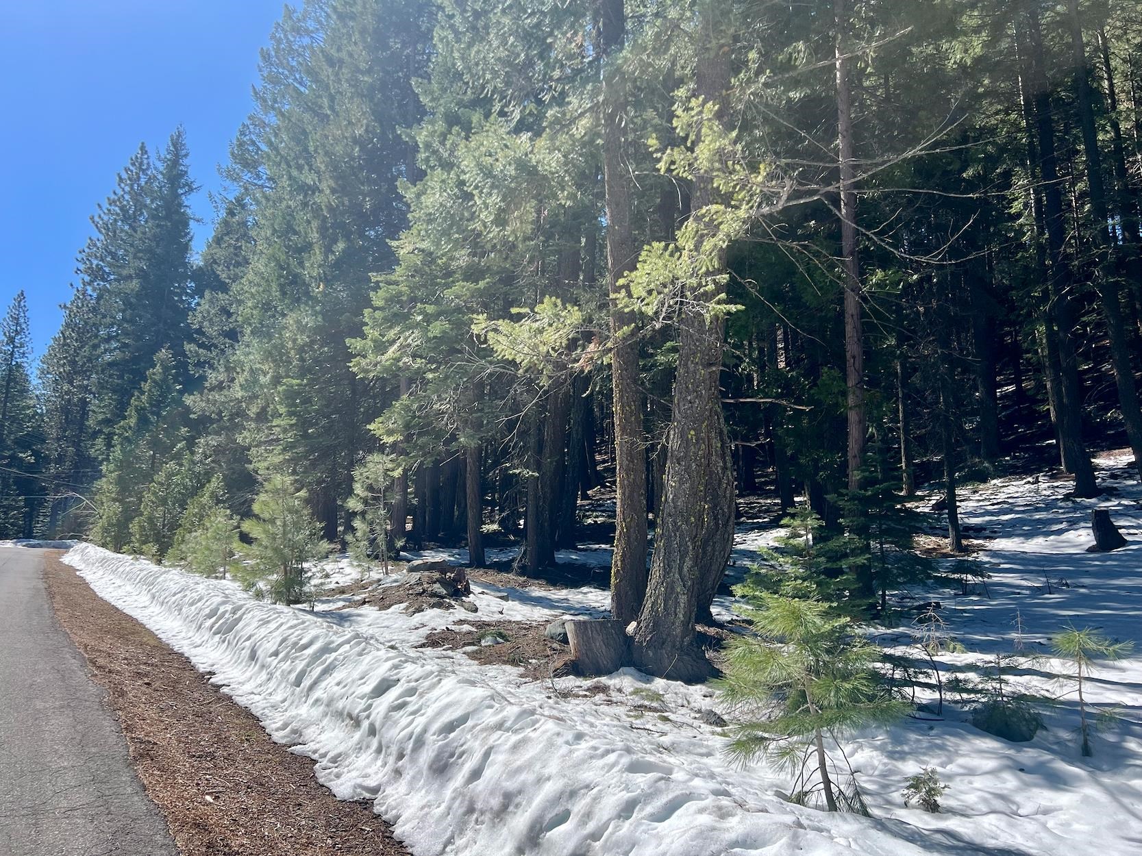 84 Yonkalla Trail, Graeagle, CA, 96103