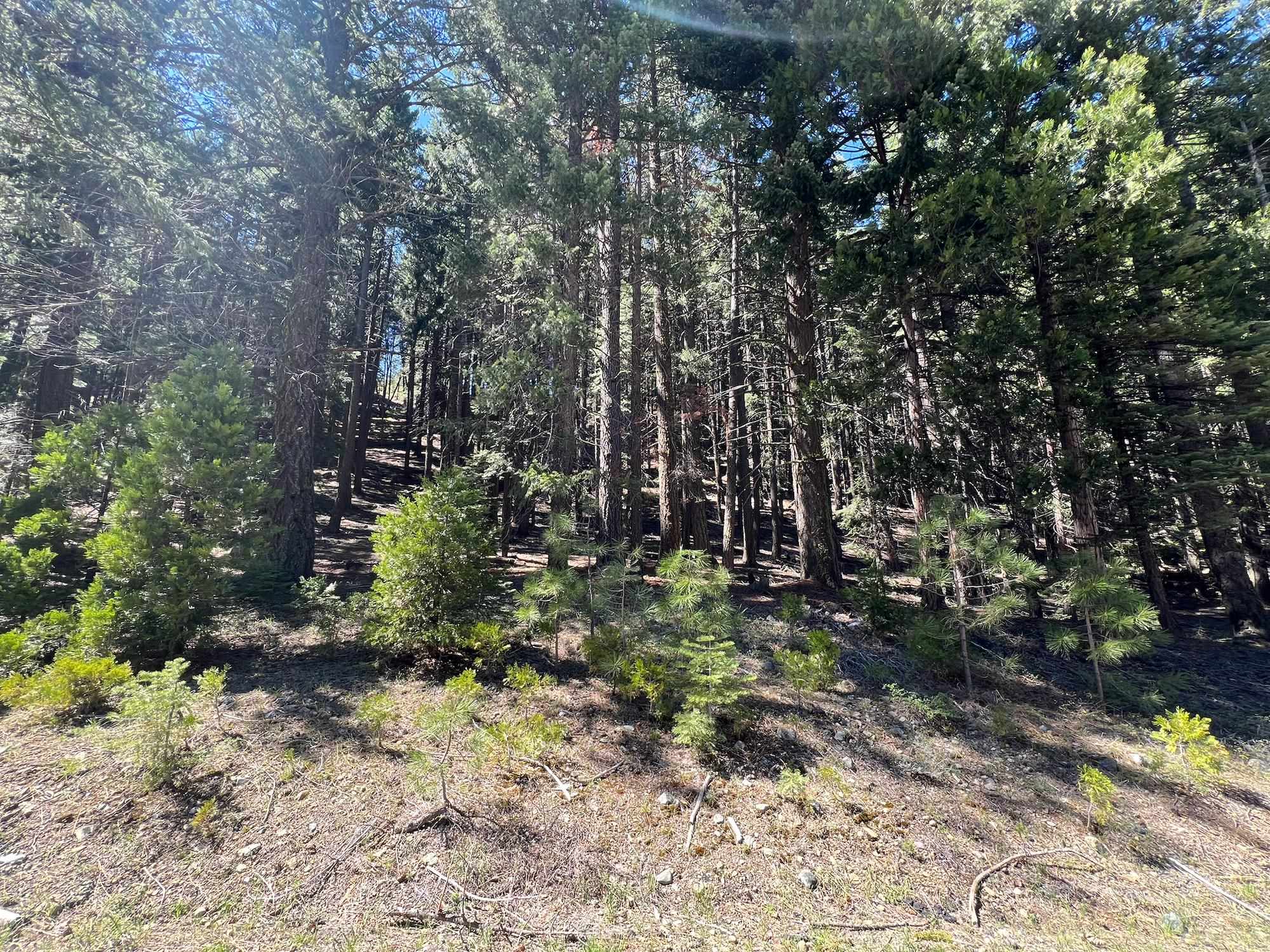 84 Yonkalla Trail, Graeagle, CA, 96103