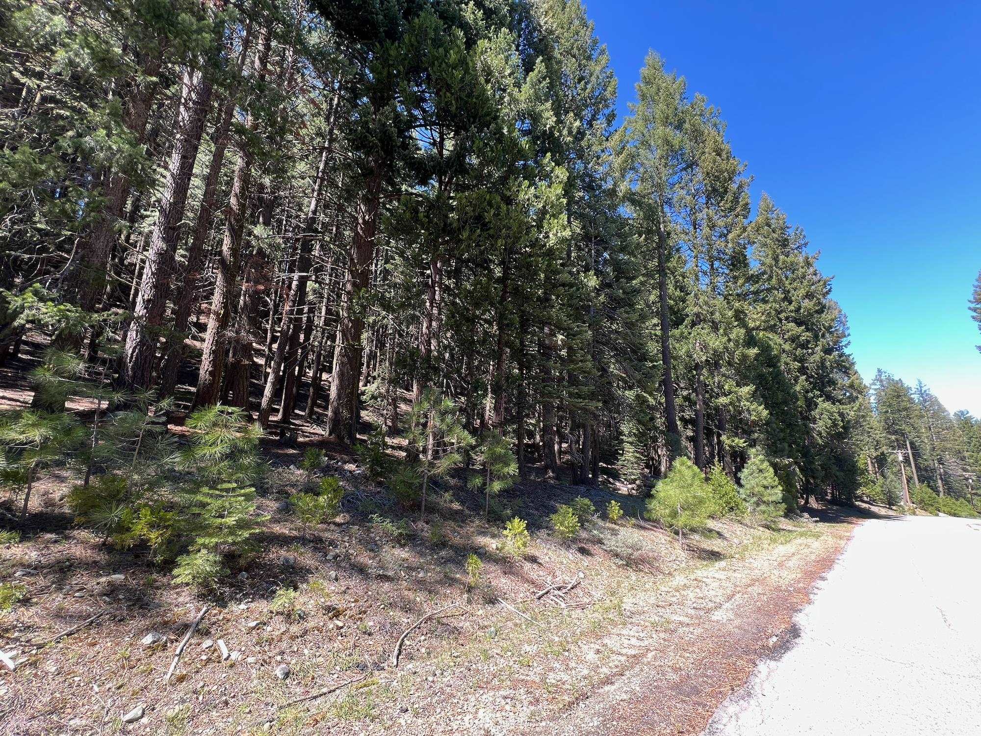 84 Yonkalla Trail, Graeagle, CA, 96103