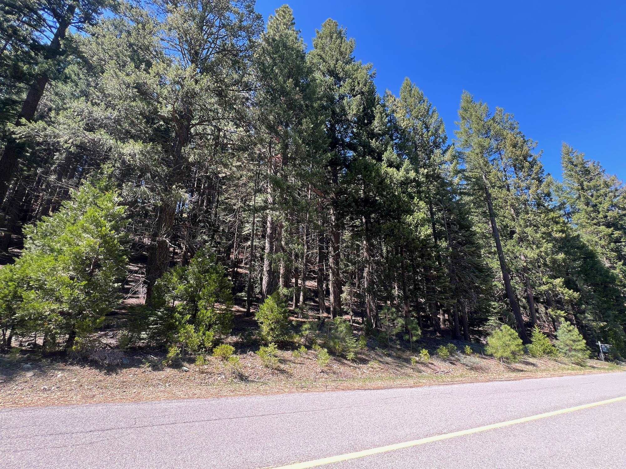 84 Yonkalla Trail, Graeagle, CA, 96103