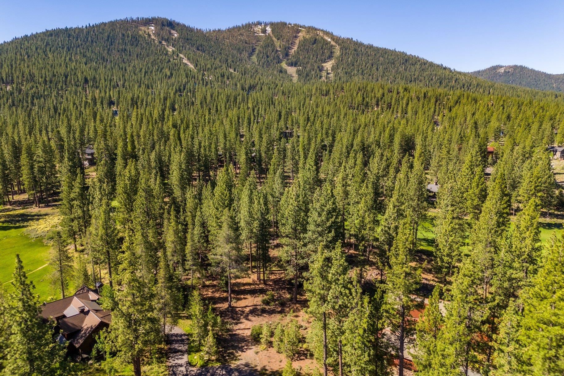 524 Lars Haugen, Truckee, CA, 96161
