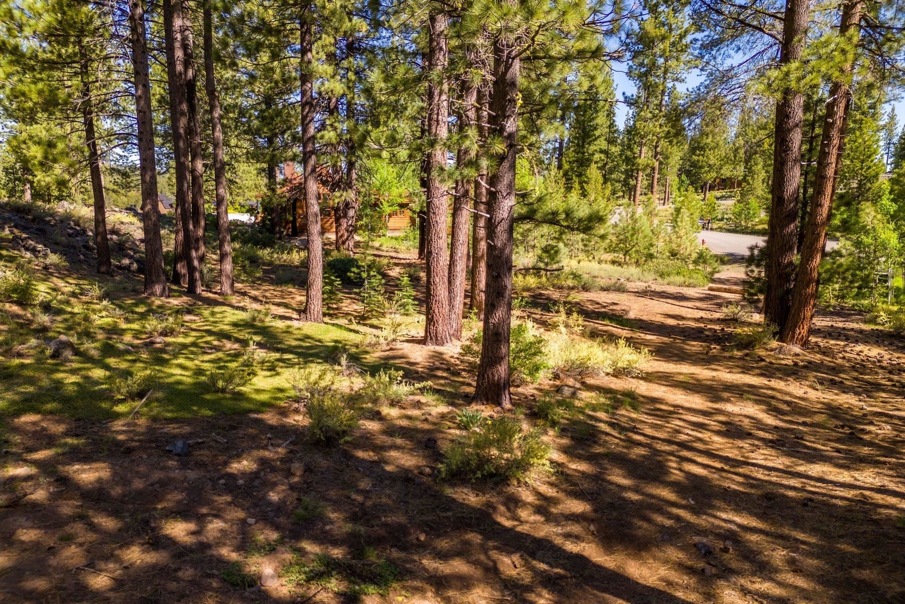 524 Lars Haugen, Truckee, CA, 96161