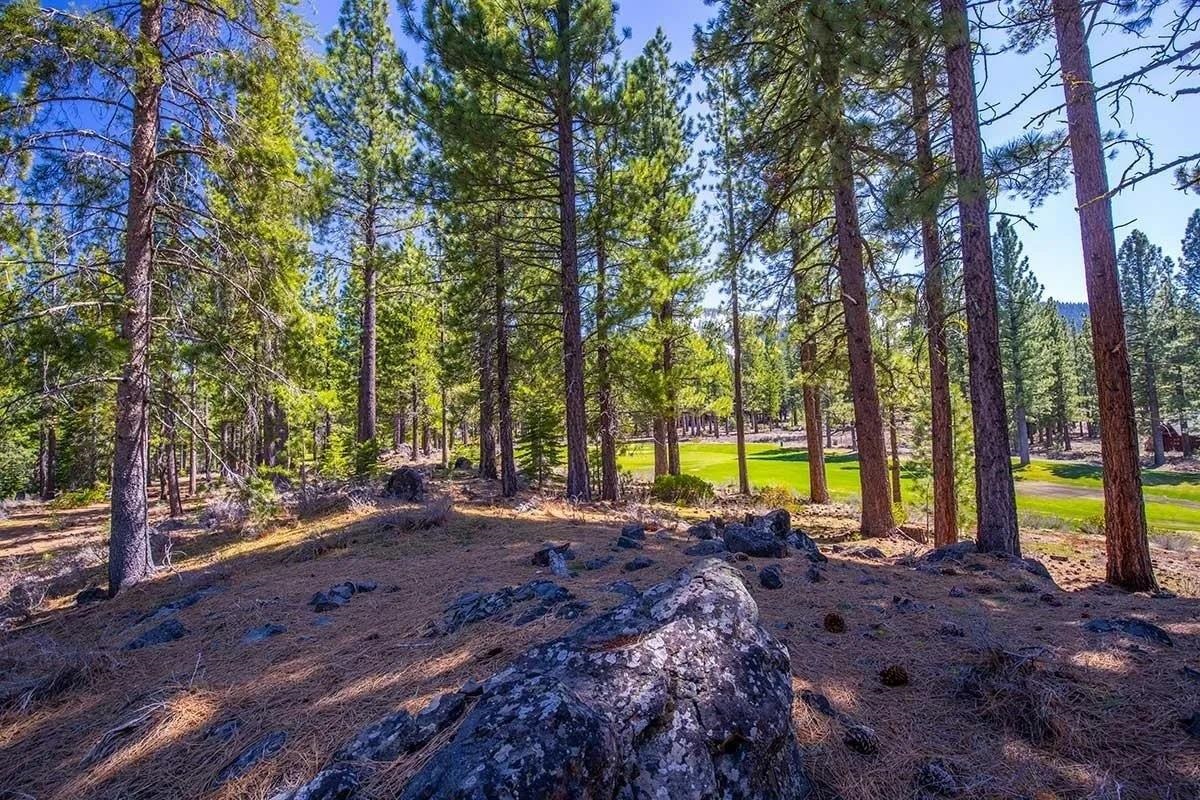 524 Lars Haugen, Truckee, CA, 96161