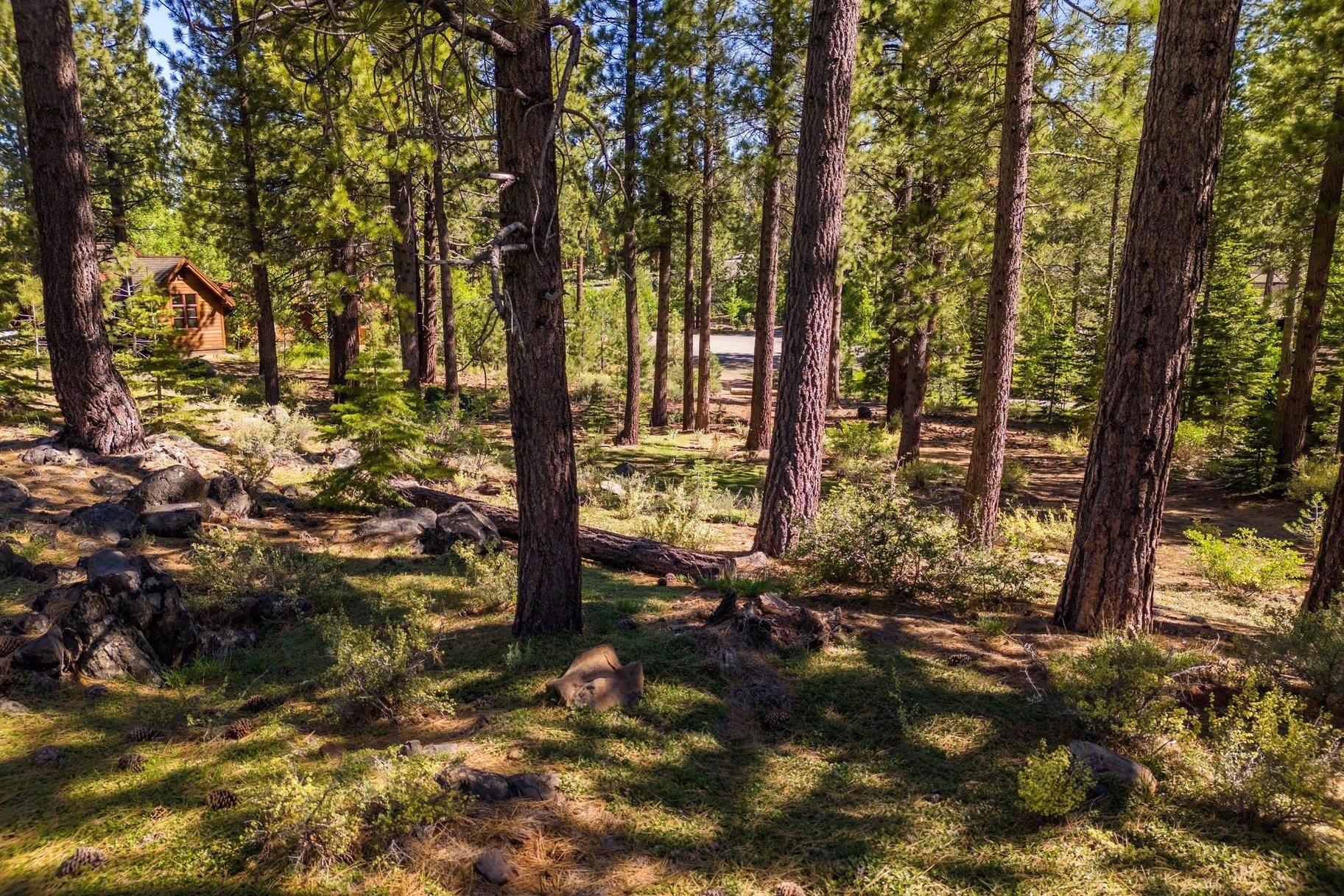 524 Lars Haugen, Truckee, CA, 96161