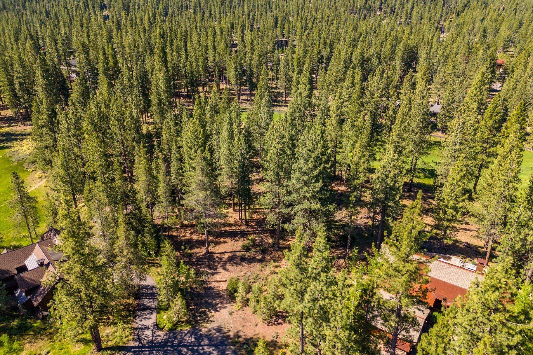 524 Lars Haugen, Truckee, CA, 96161