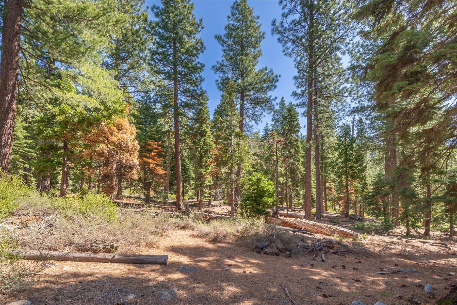 434 Beaver Street, Kings Beach, CA, 96143