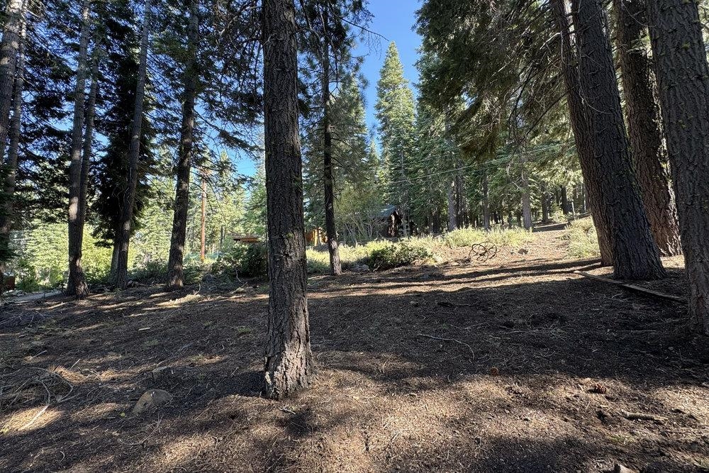 11710 Tundra Drive, Truckee, CA, 96161